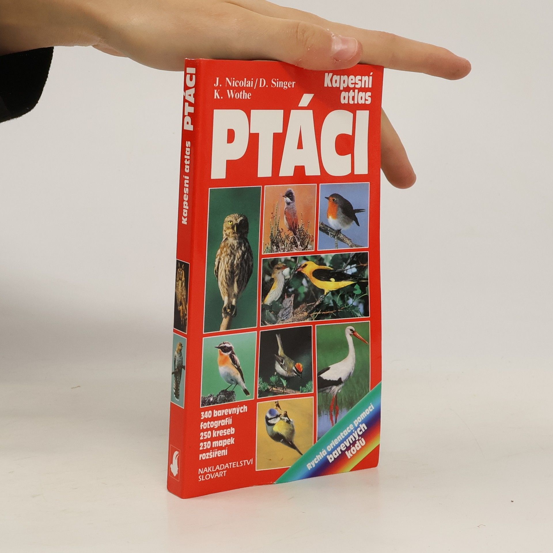 Detlef Singer Ptáci