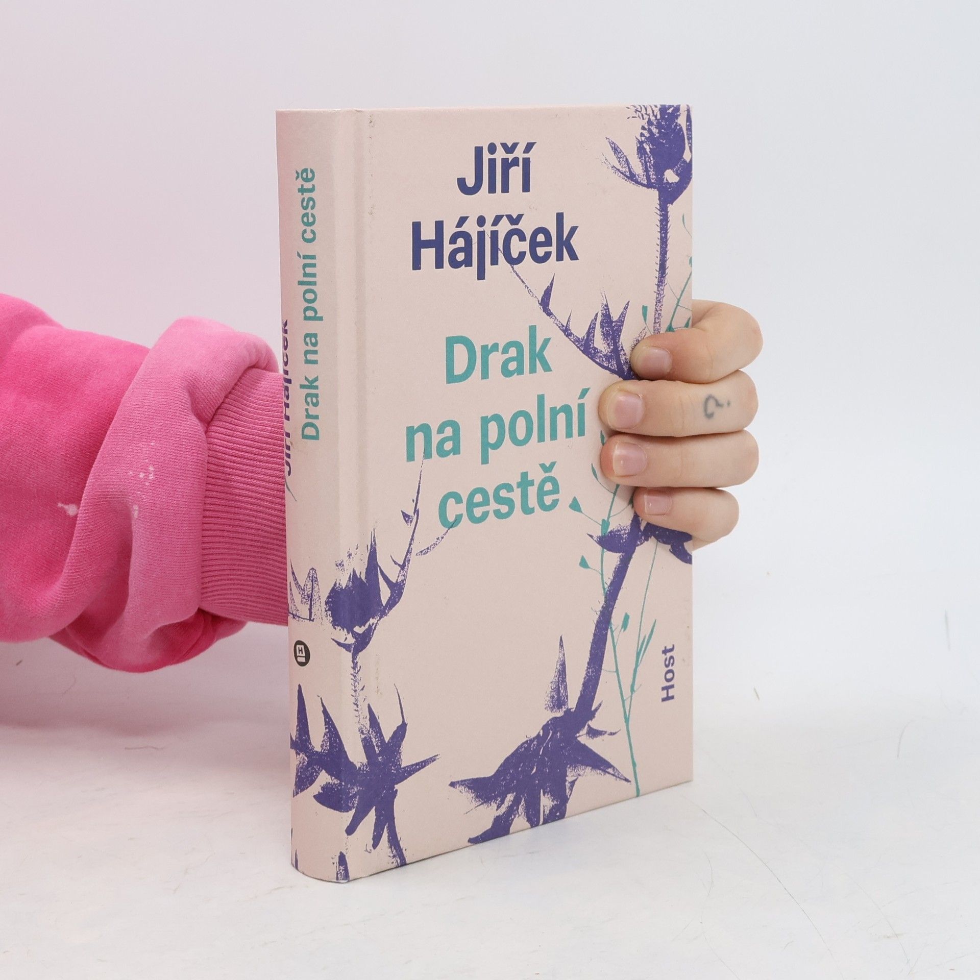 Jiří Hájíček Drak na polní cestě