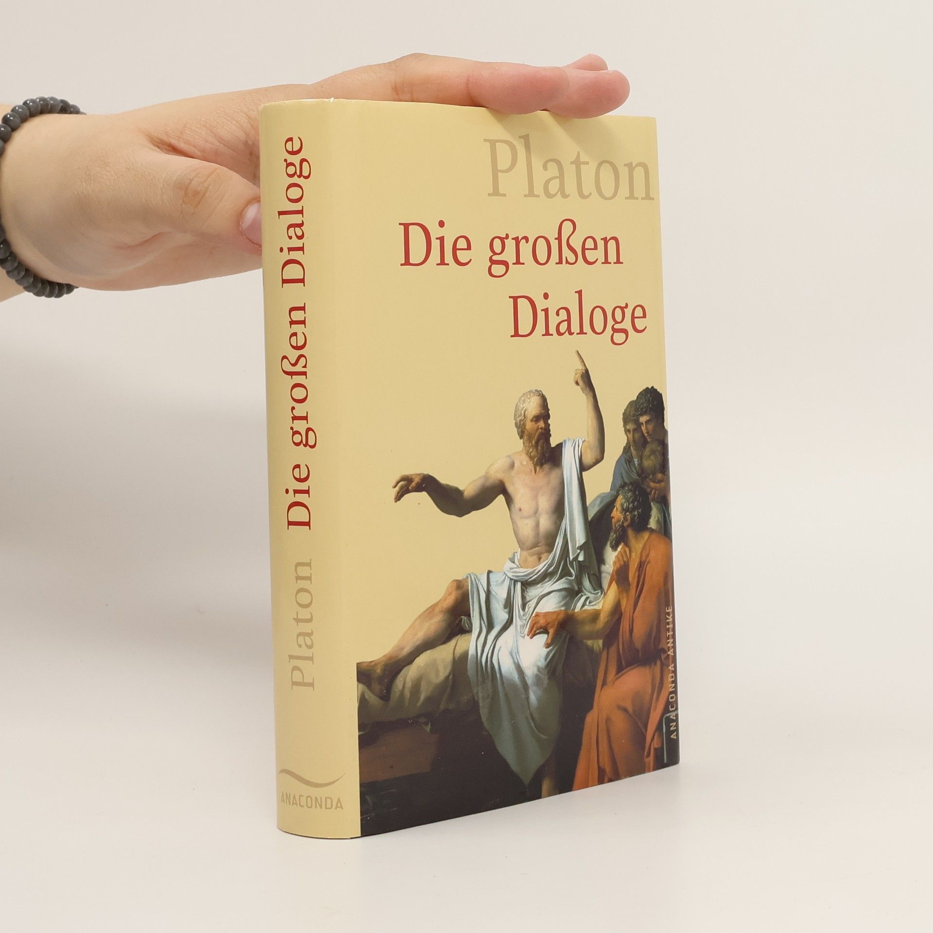 Platon Die großen Dialoge