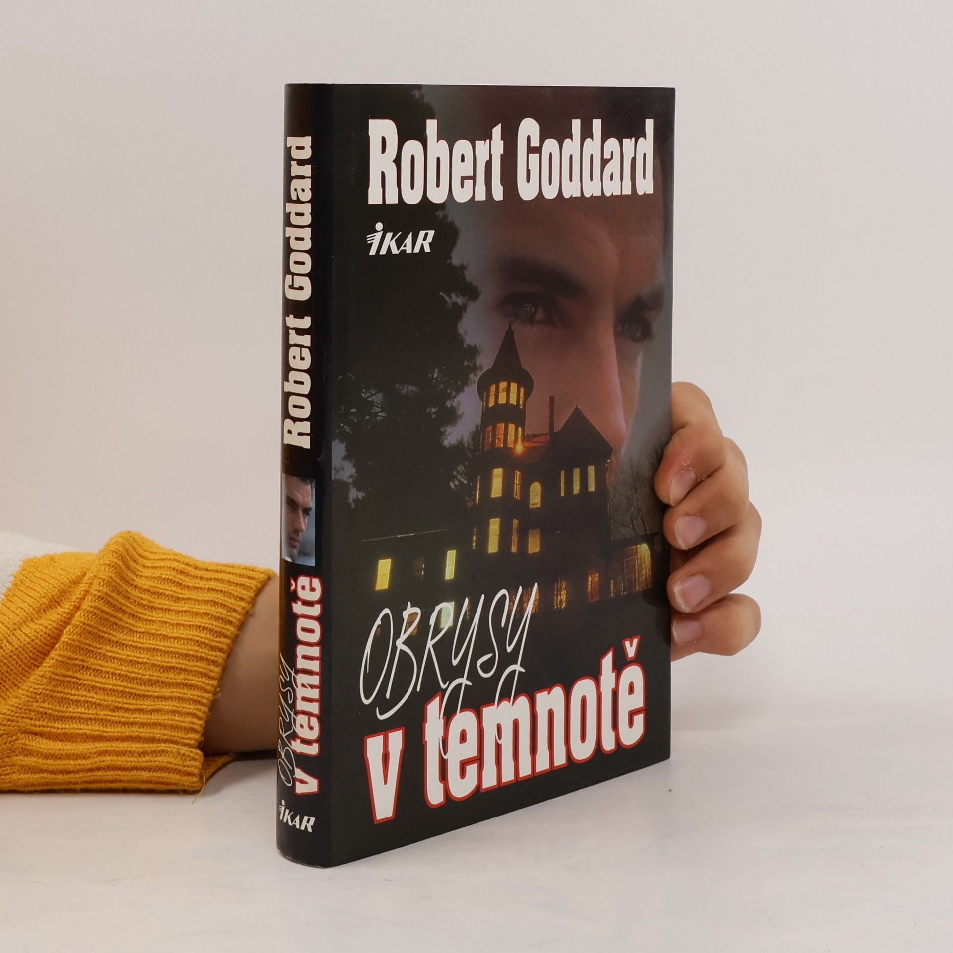 Robert Goddard Obrysy v temnotě