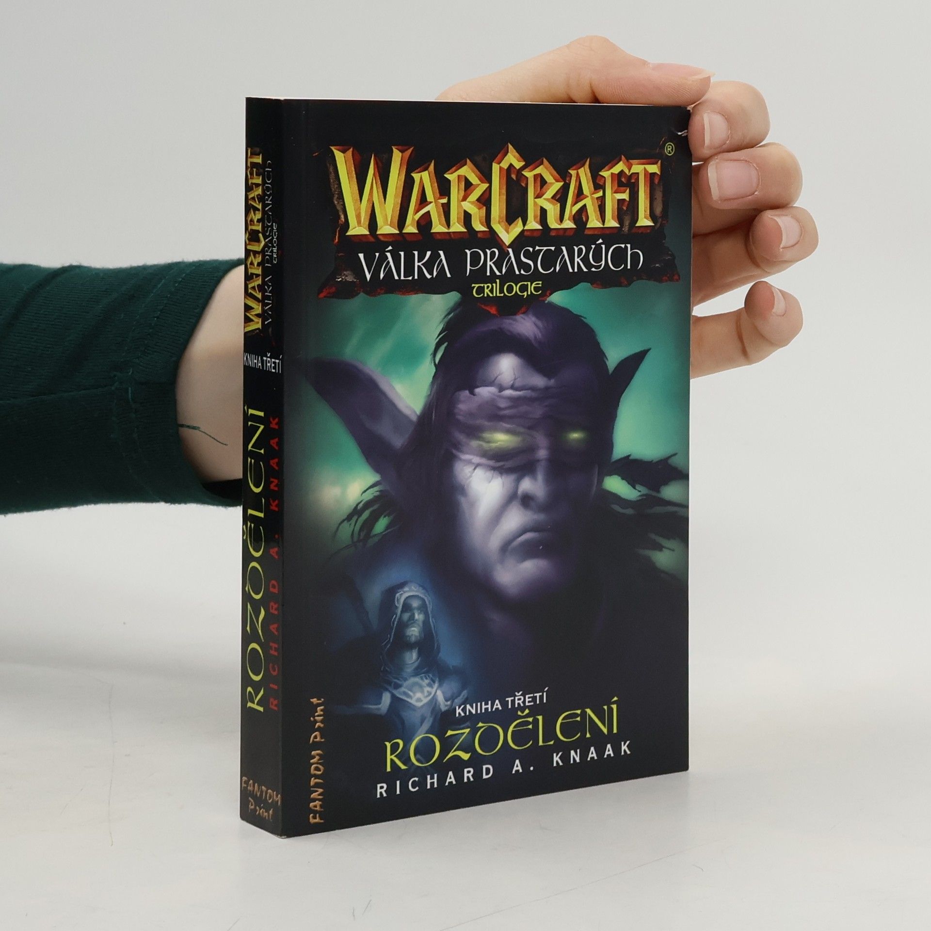 Richard A. Knaak WarCraft. Válka Prastarých 3. Rozdělení