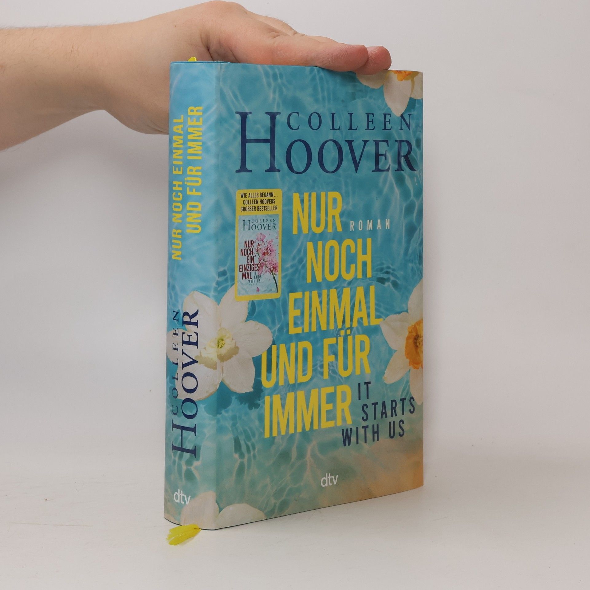 Colleen Hoover Nur noch einmal und für immer