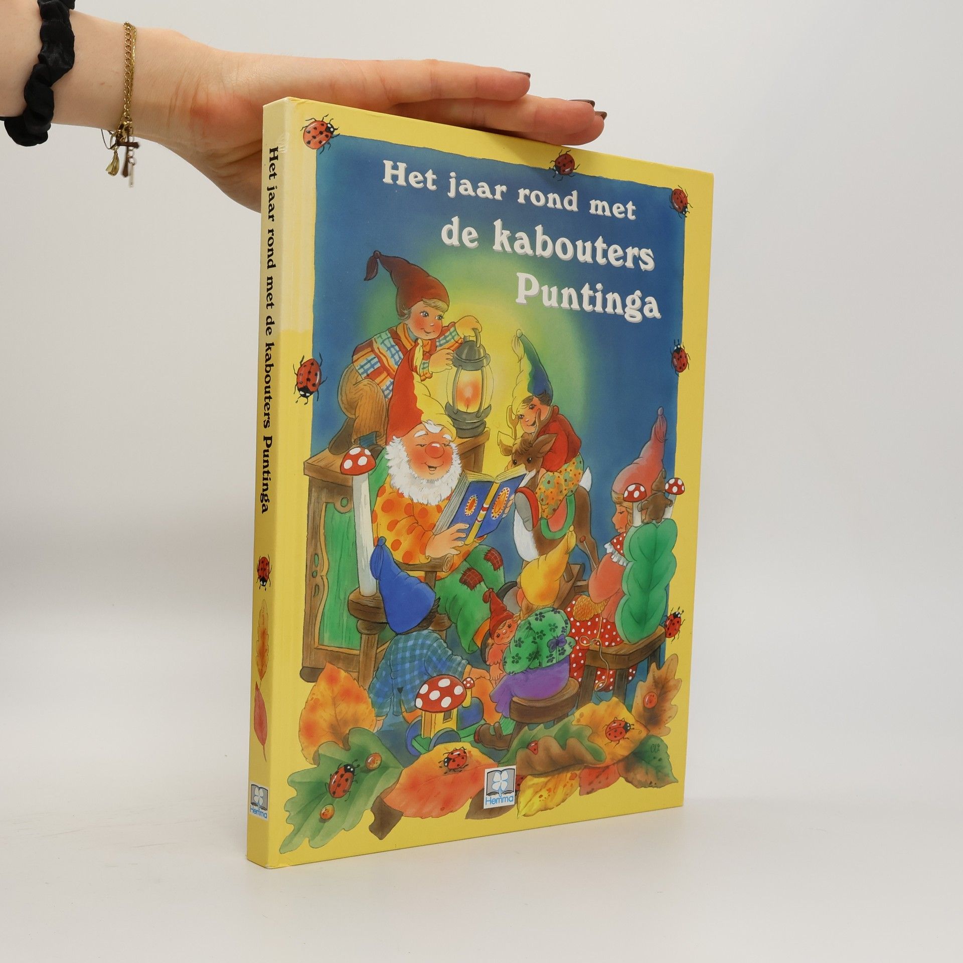 Christl Vogl Het jaar rond met de kabouters Puntinga