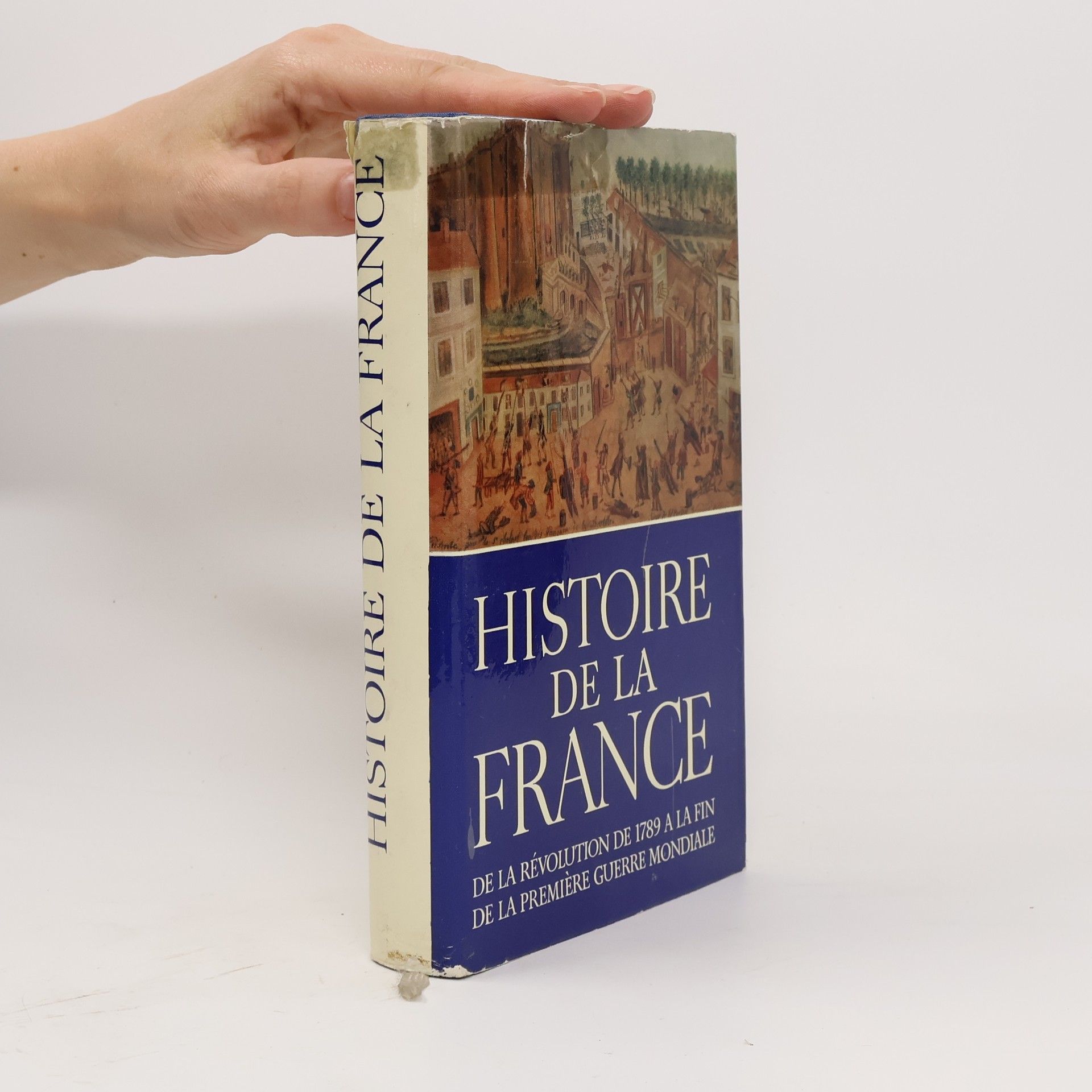 Kolektiv autorů Histoire de la France