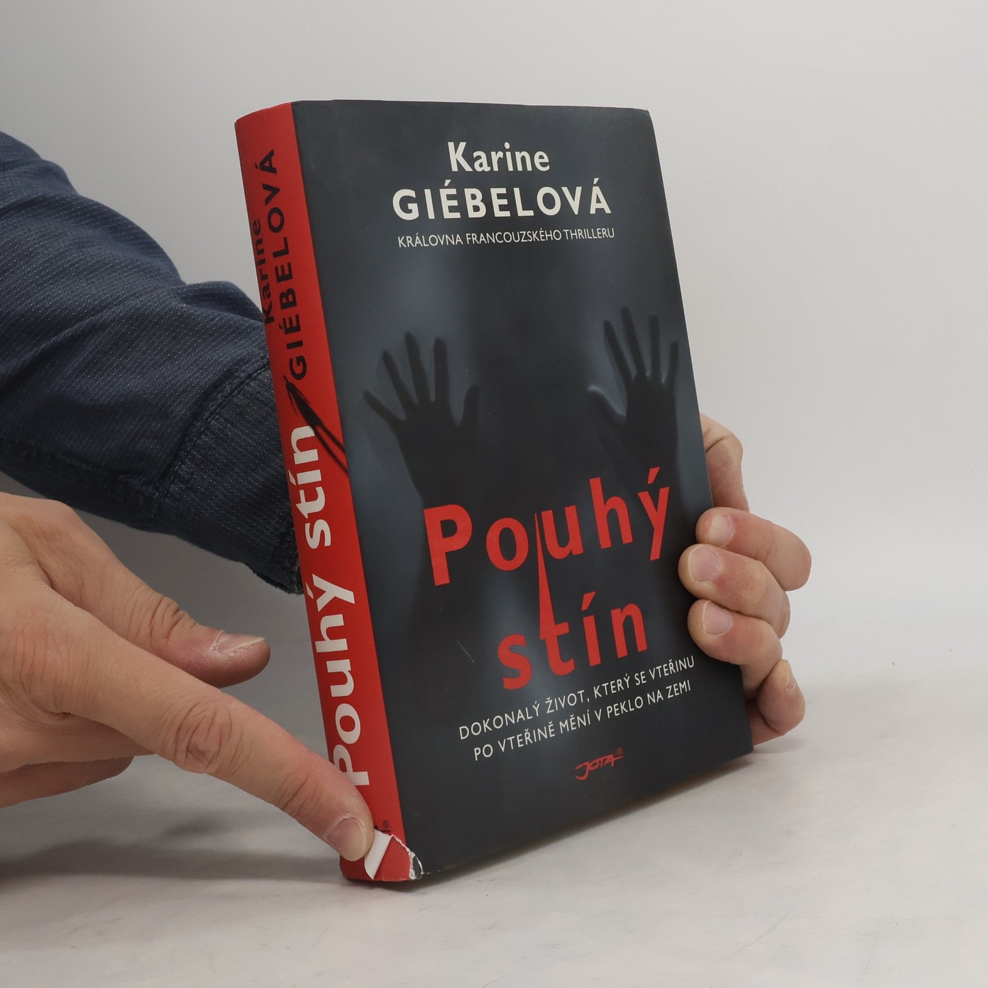 Karine Giebel Pouhý stín