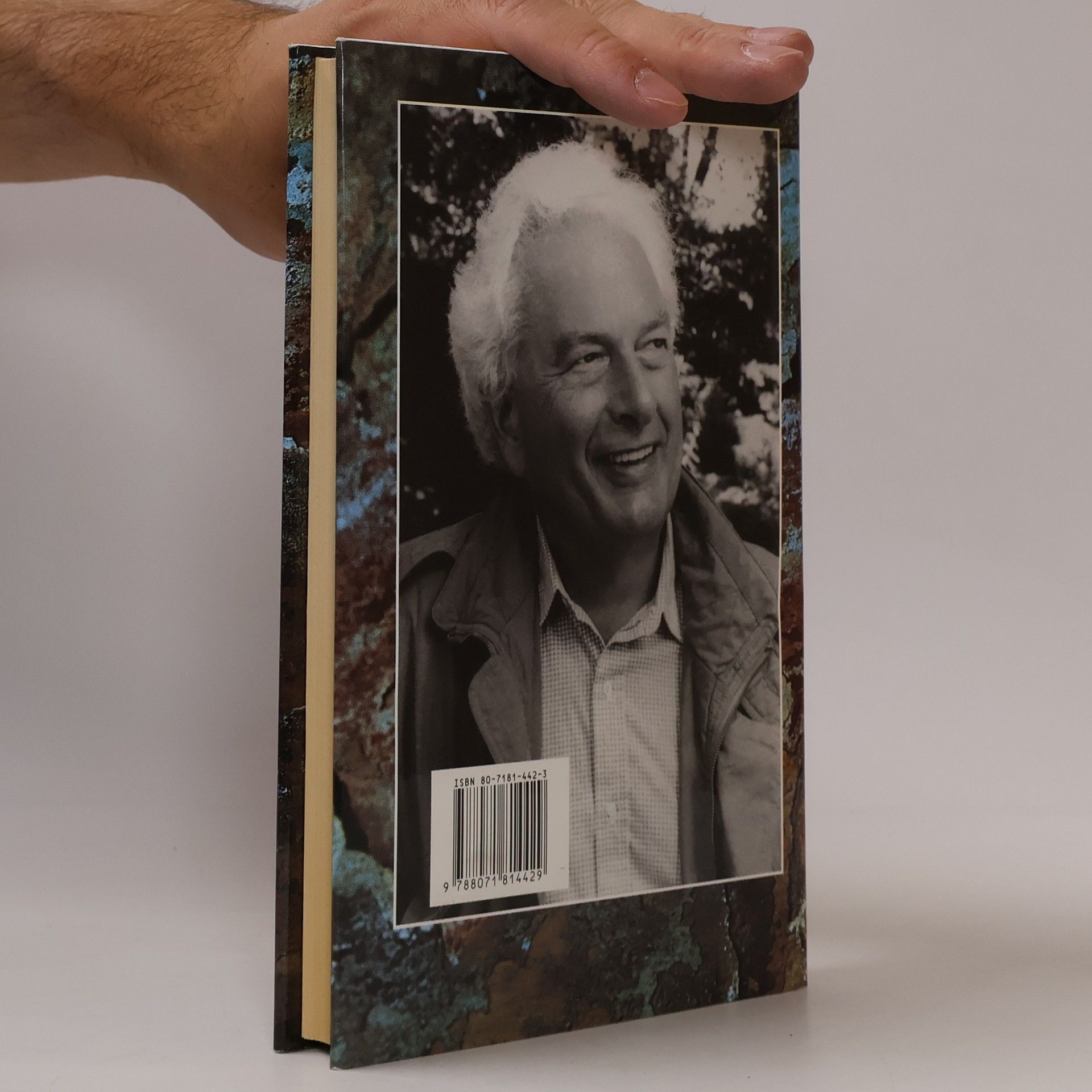 Joseph Heller Portrét starého umělce