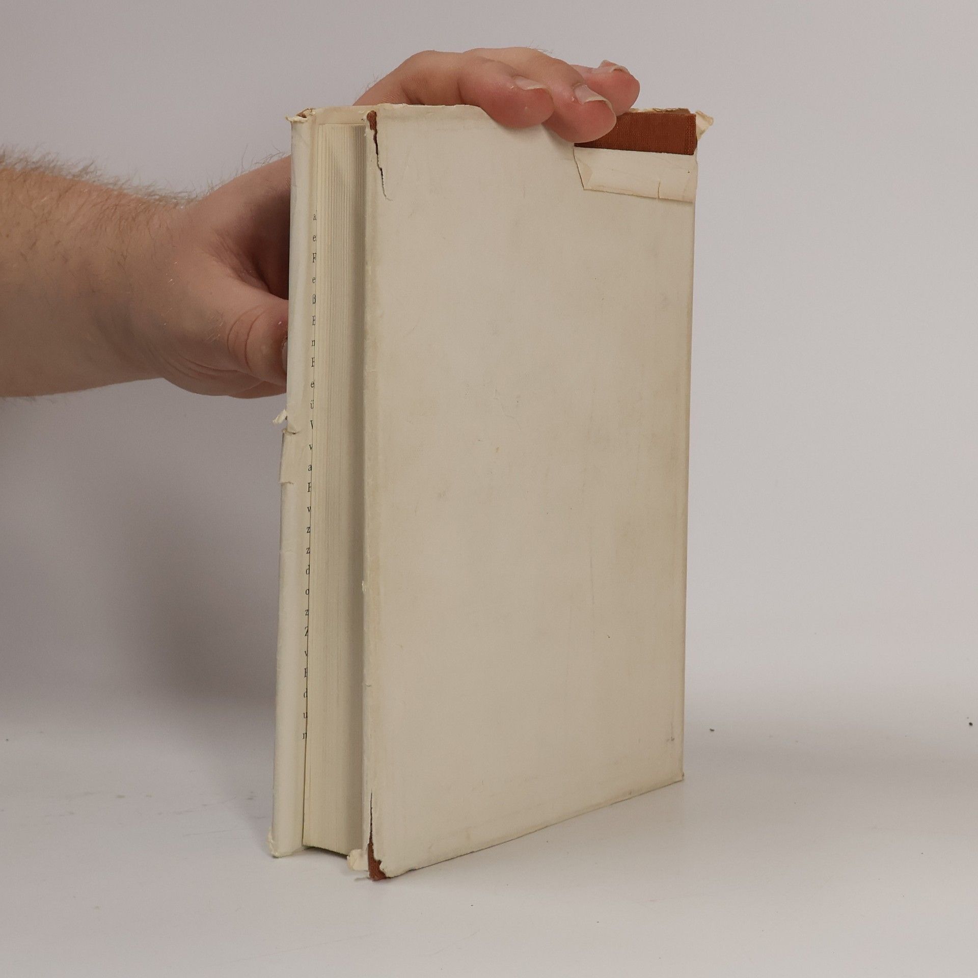 J. P. Brack Kleines Filmlexikon: Kunst, Technik, Geschichte, Biographie, Schrifttum