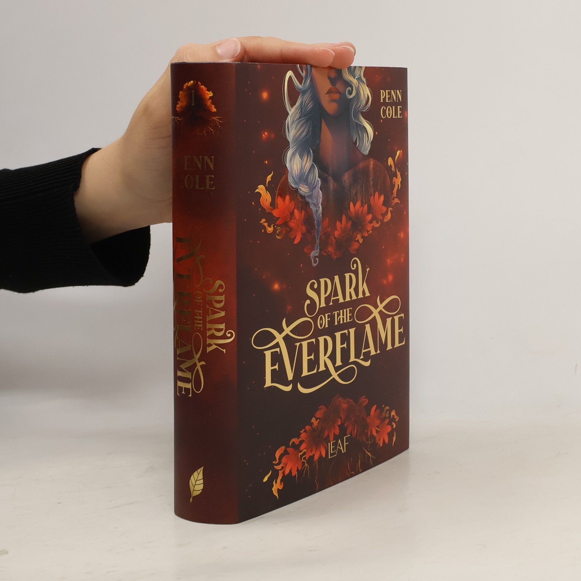 Penn Cole Spark of the Everflame / Kindred´s Curse Saga Bd.1