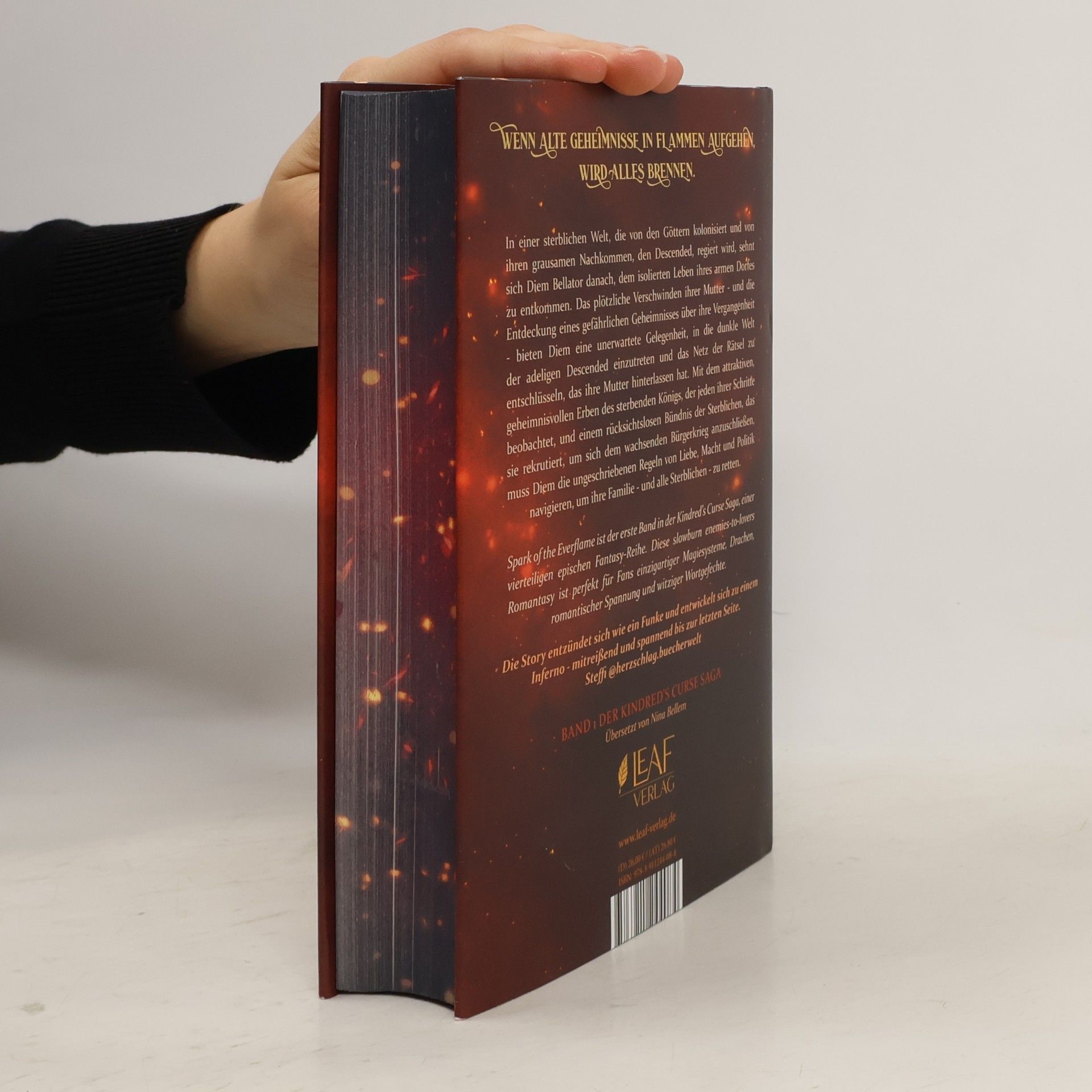 Penn Cole Spark of the Everflame / Kindred´s Curse Saga Bd.1