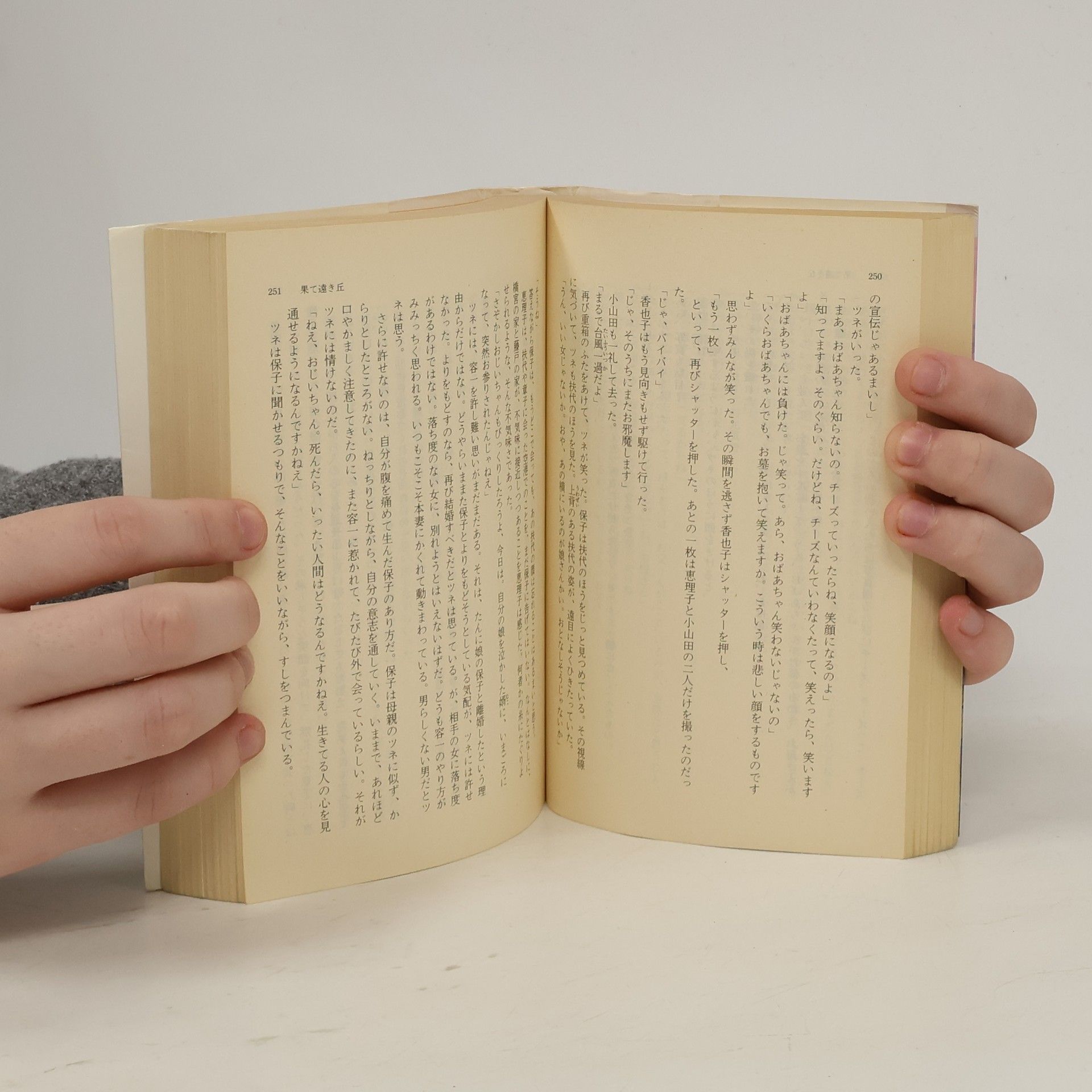 Miura Ayako 果て遠き丘
