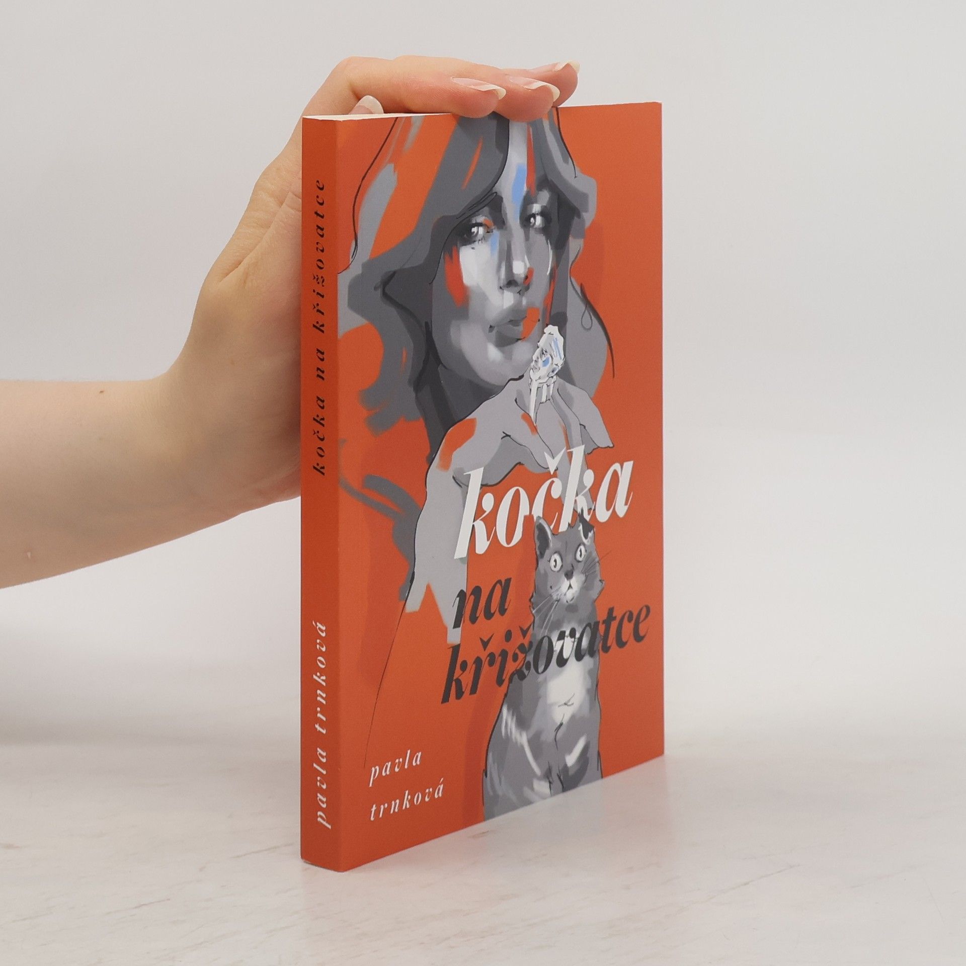 Pavla Trnková Kočka na křižovatce