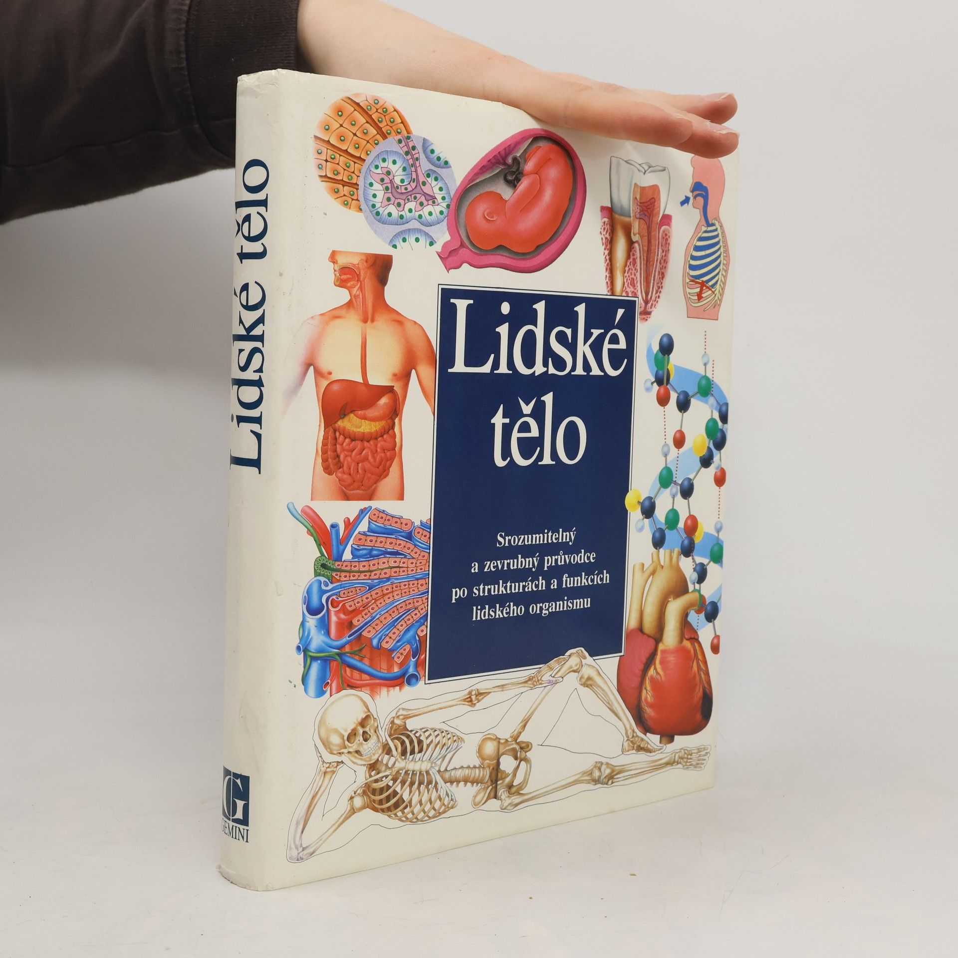 Various authors Lidské tělo : Srozumitelný a zevrubný průvodce po strukturách a funkcích lidského organismu
