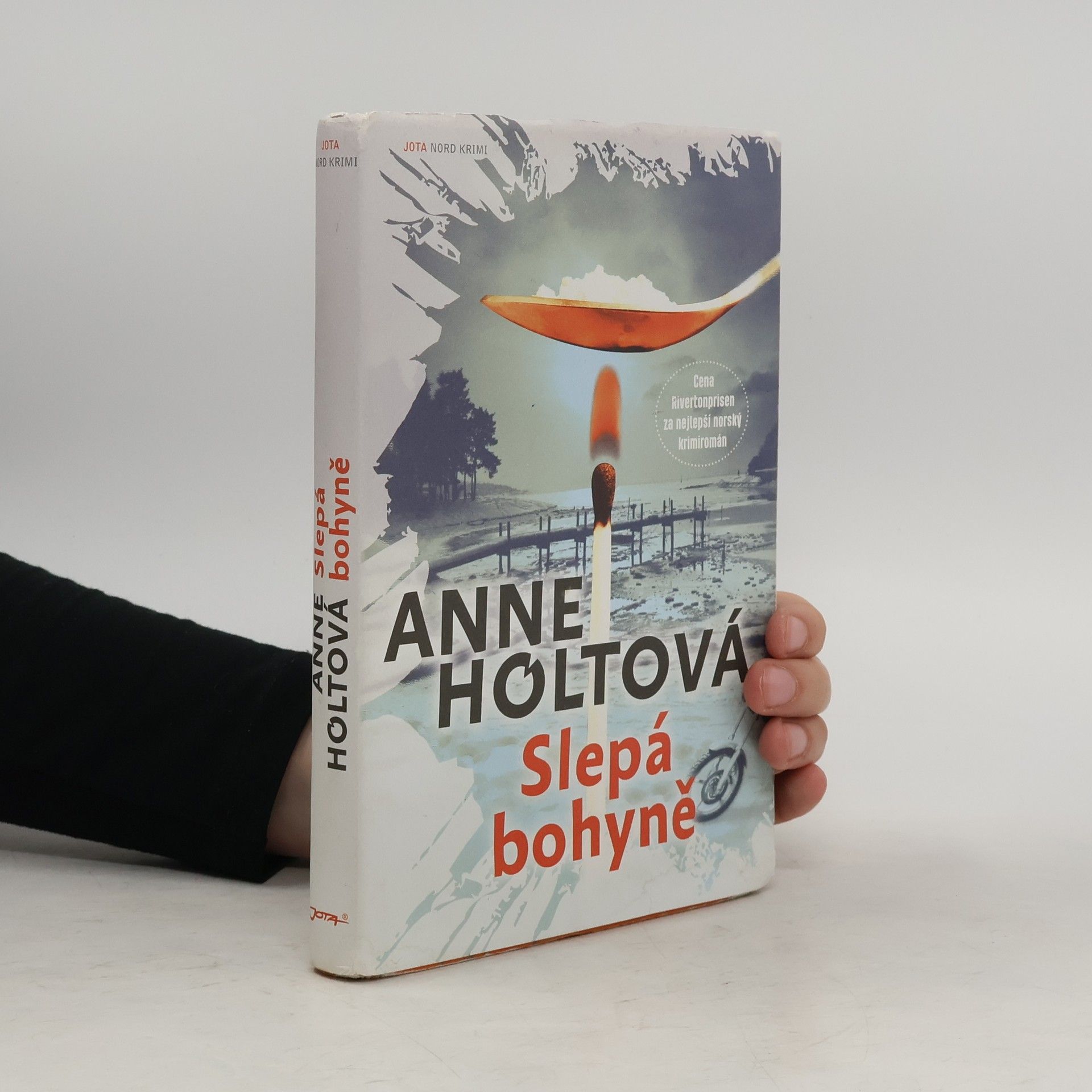 Anne Holt Slepá bohyně
