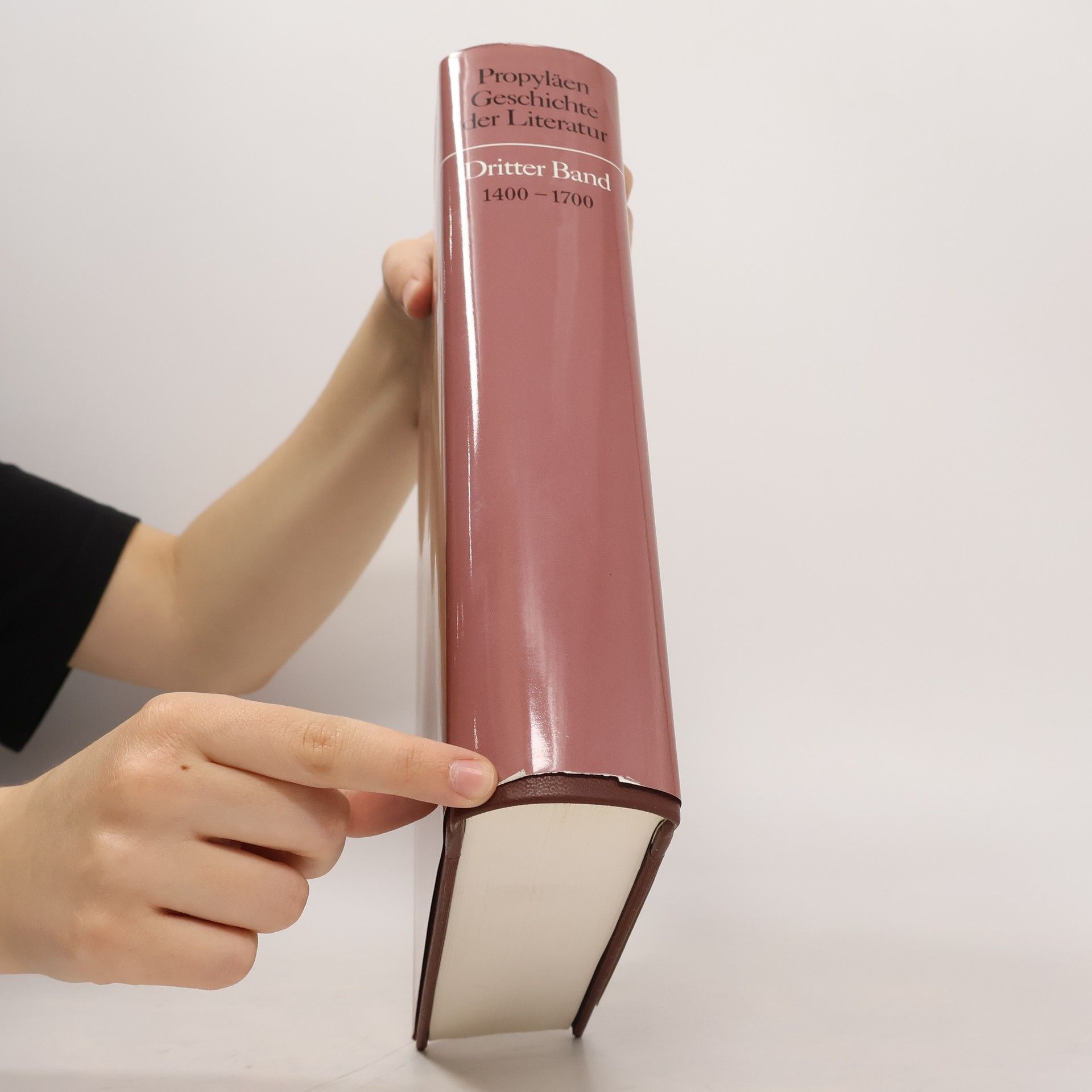 Autorenkollektiv Propyläen-Geschichte der Literatur