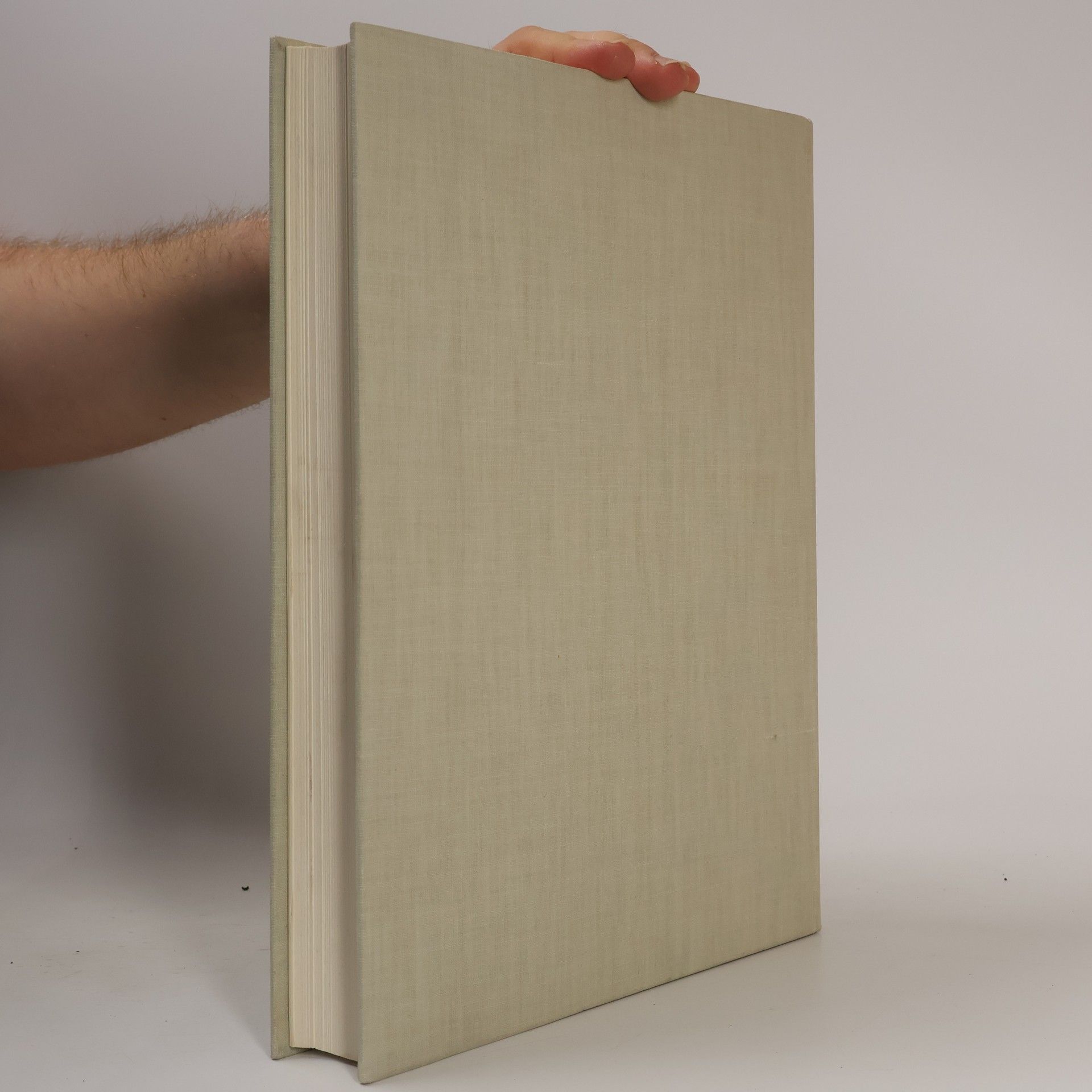 Kolektiv autorů Gedenkbuch St. Jakob 1444/1944