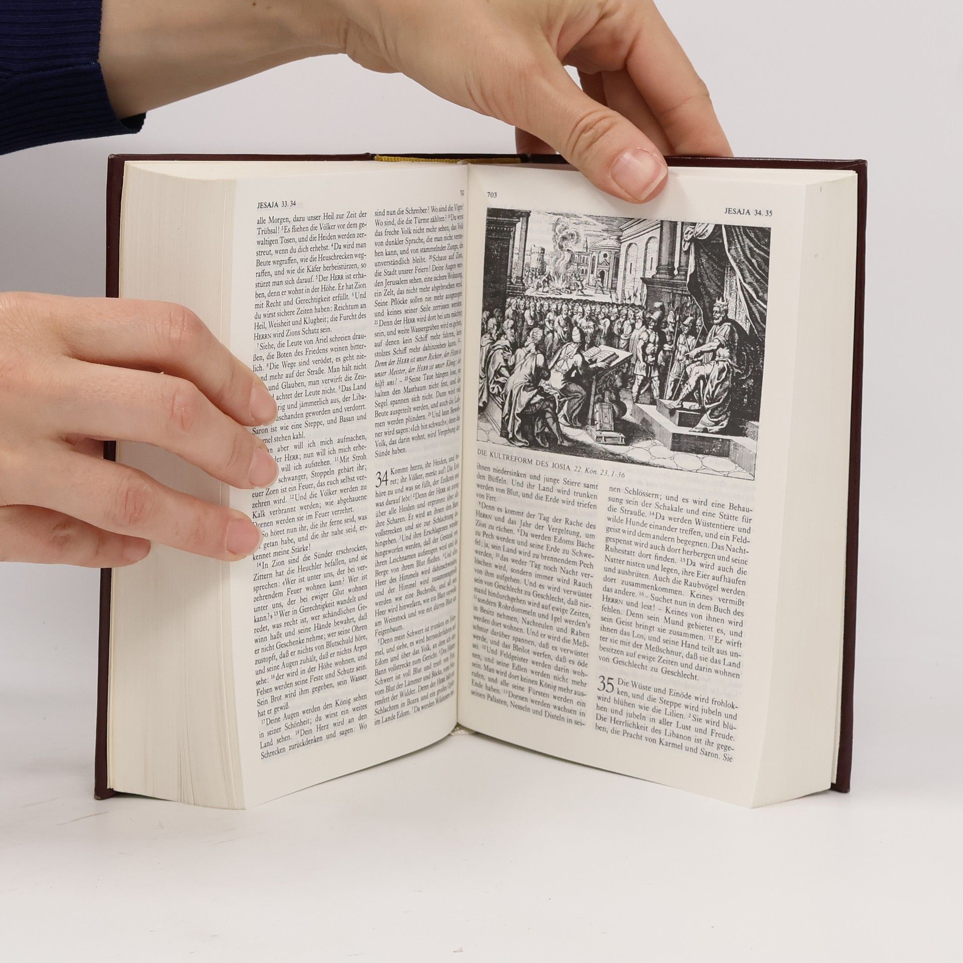 Autorenkollektiv Die Bibel