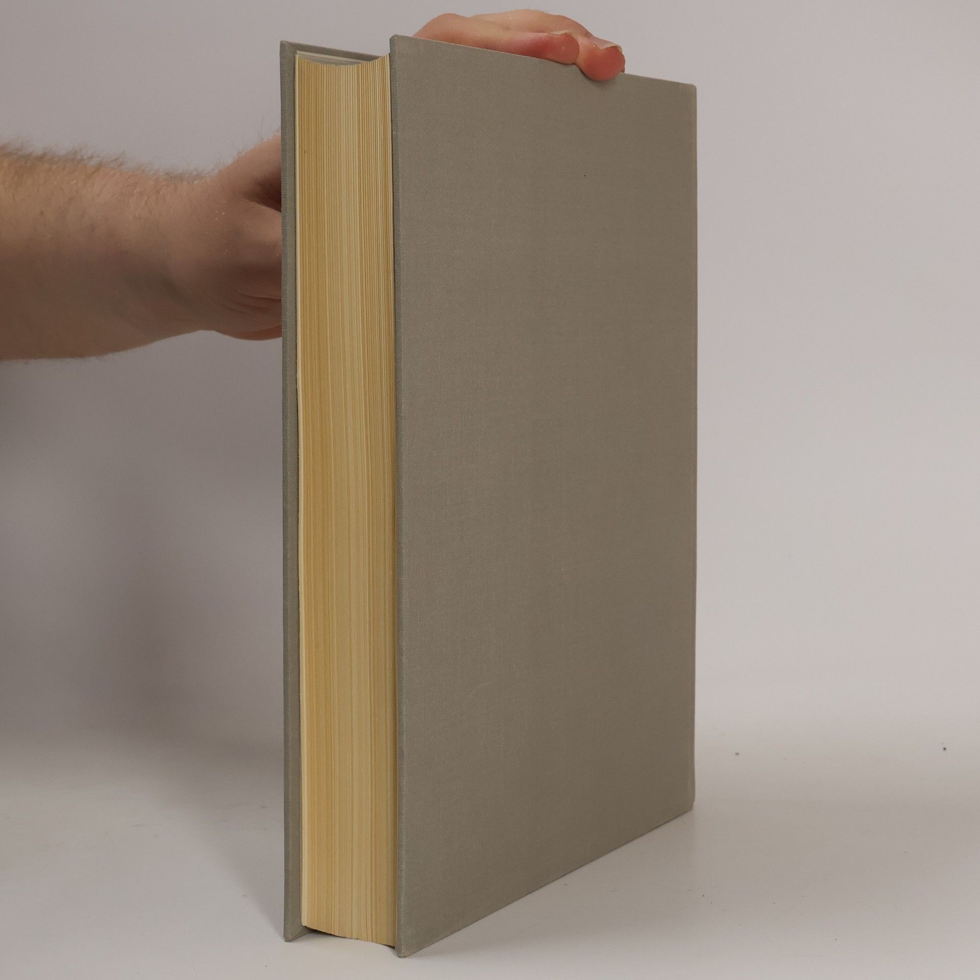 F. Pieth Bündnergeschichte
