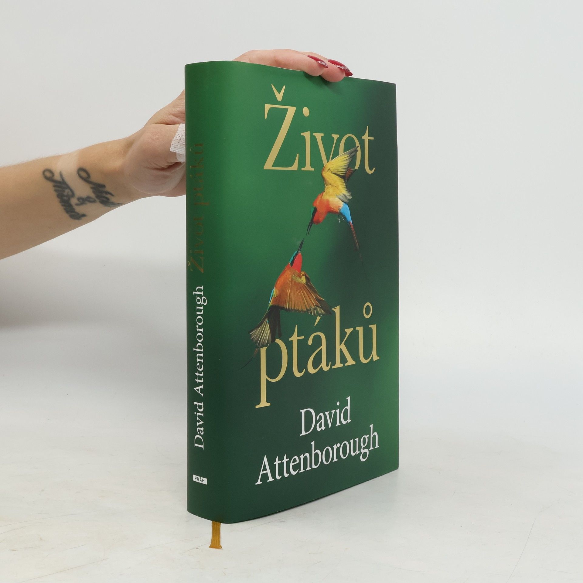 David Attenborough Život ptáků