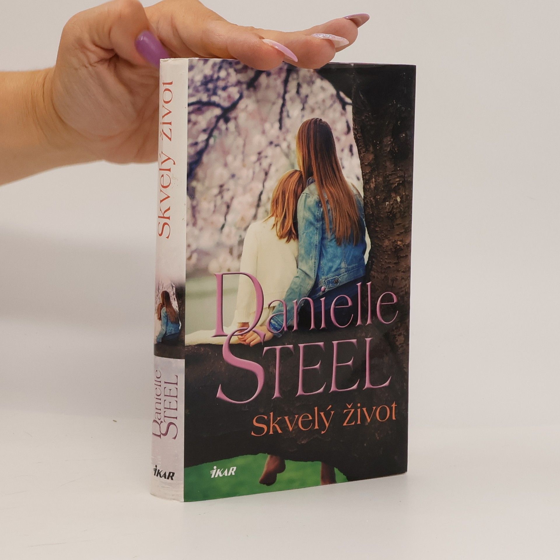 Danielle Steelová Skvelý život