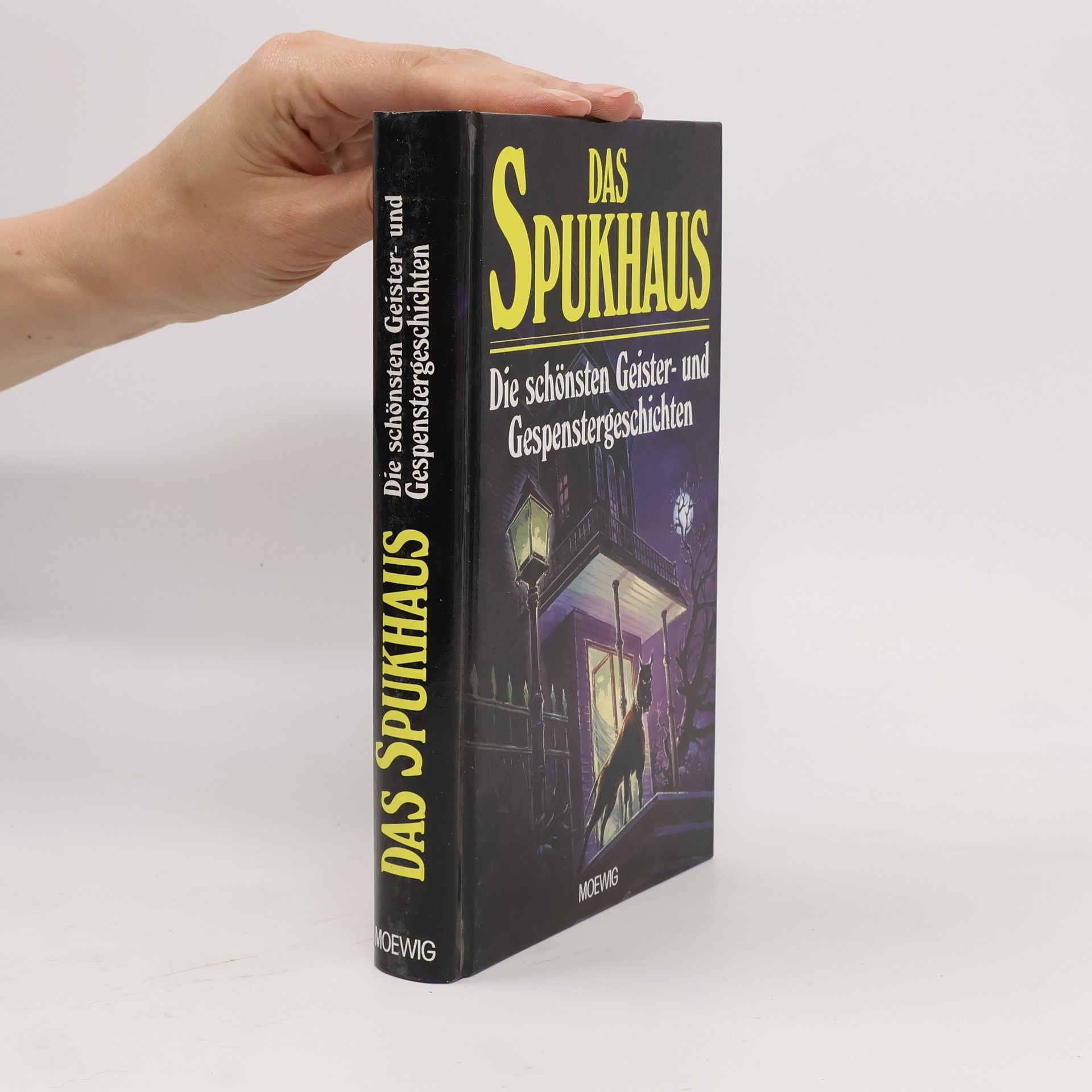 Kolektiv autorů Das Spukhaus