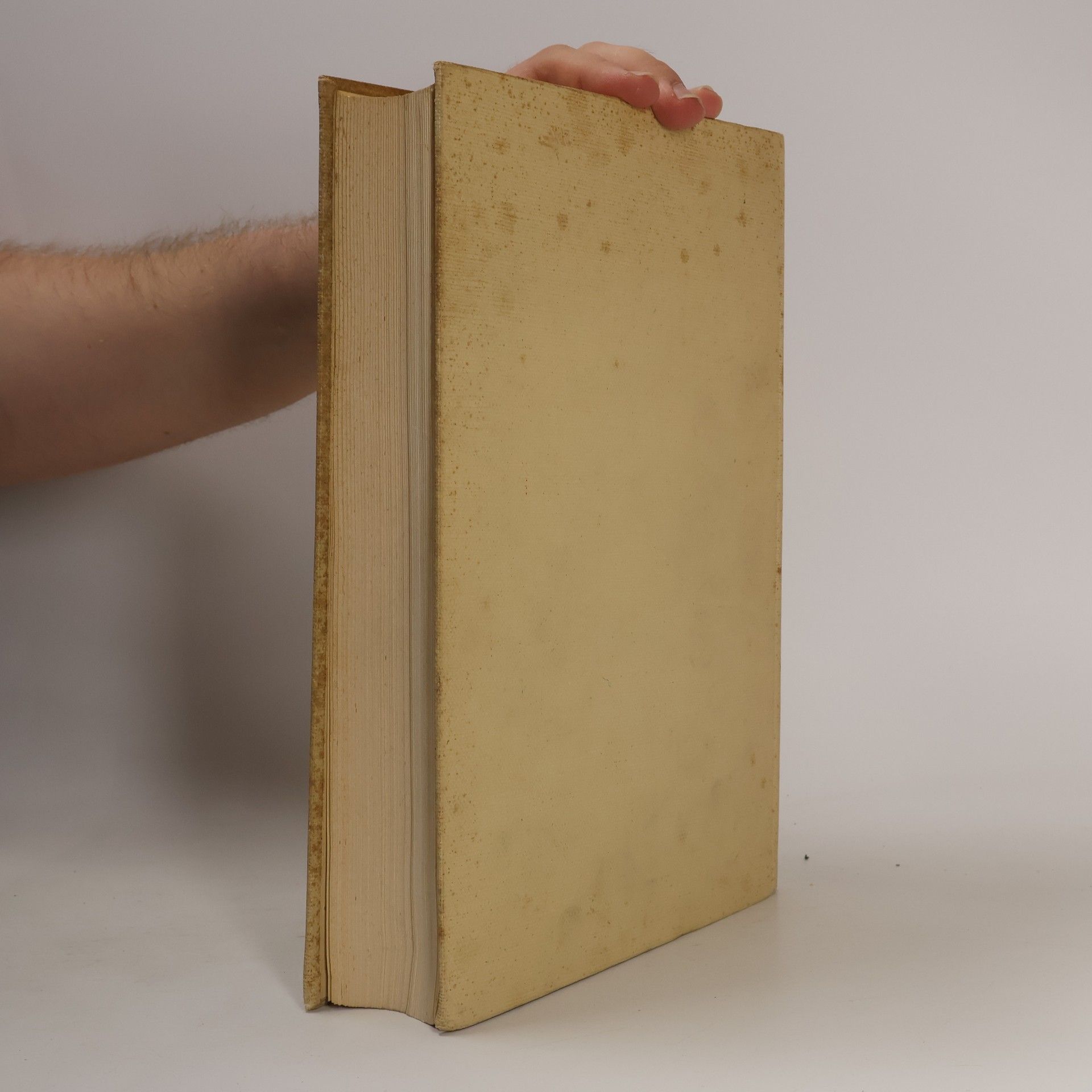 Jacob Burckhardt Die Kultur der Renaissance in Italien
