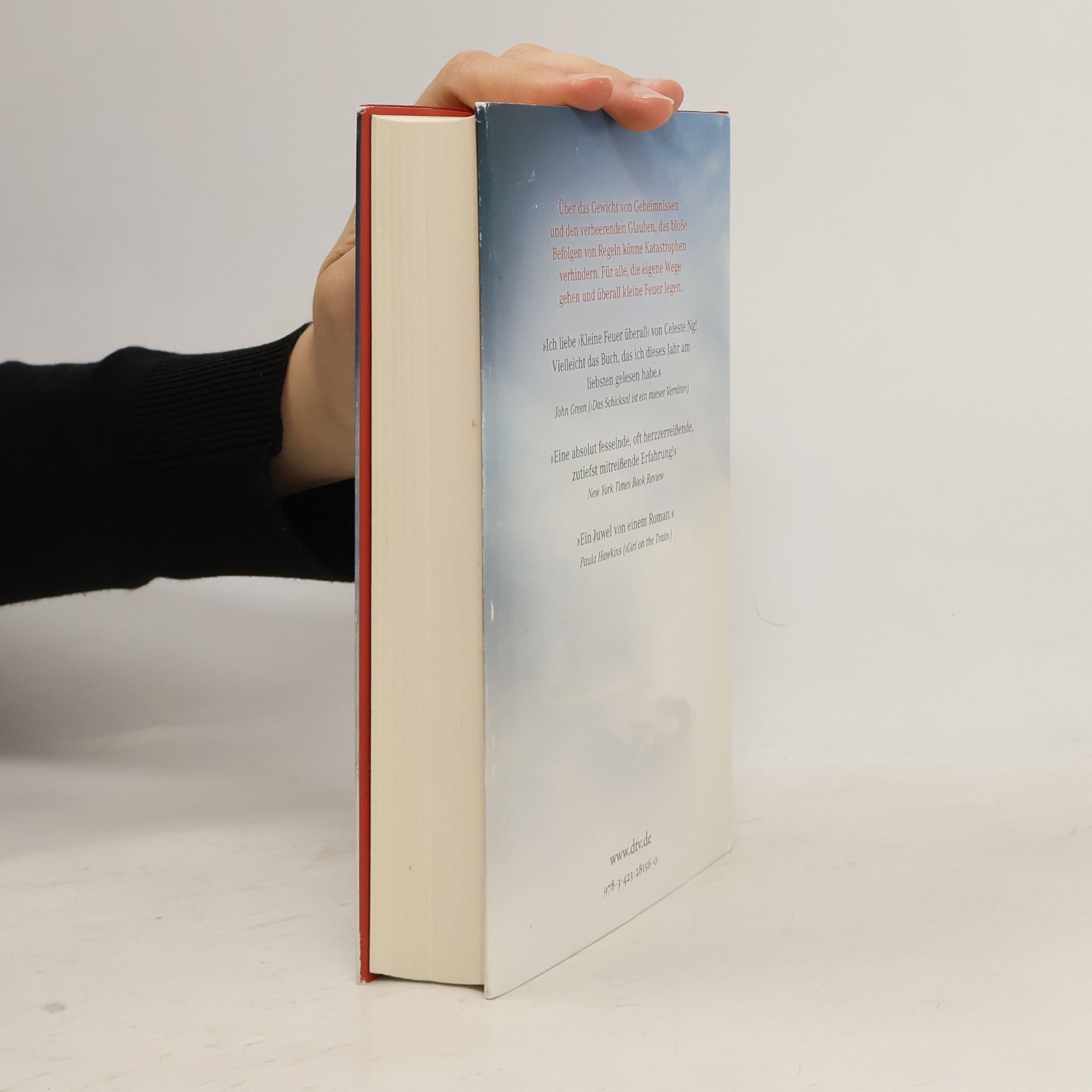 Celeste Ng Kleine Feuer überall
