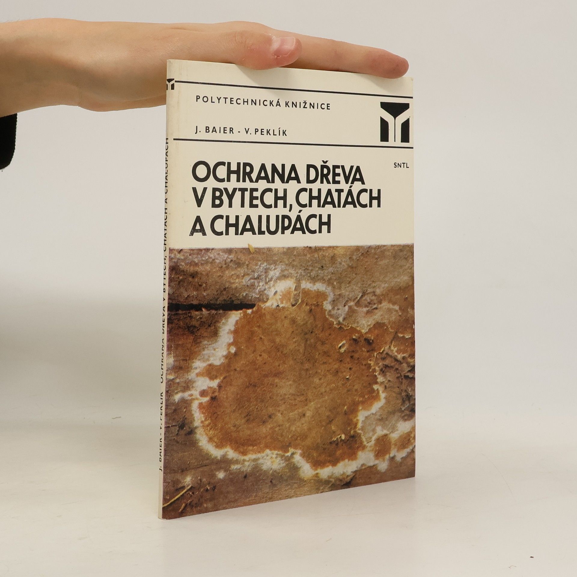Jiří Baier Ochrana dřeva v bytech, chatách a chalupách