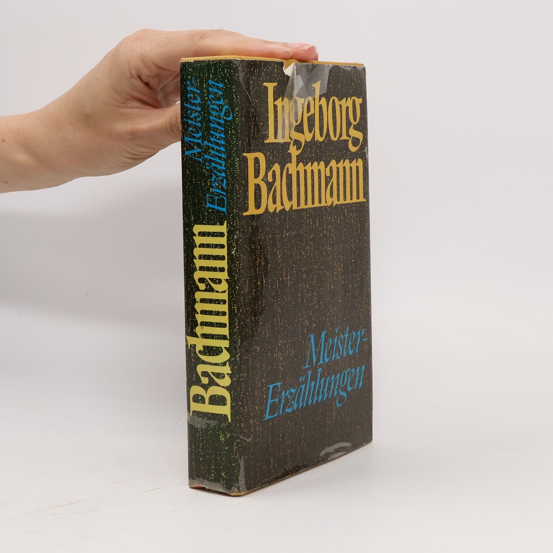 Ingeborg Bachmann Meister-Erzählungen