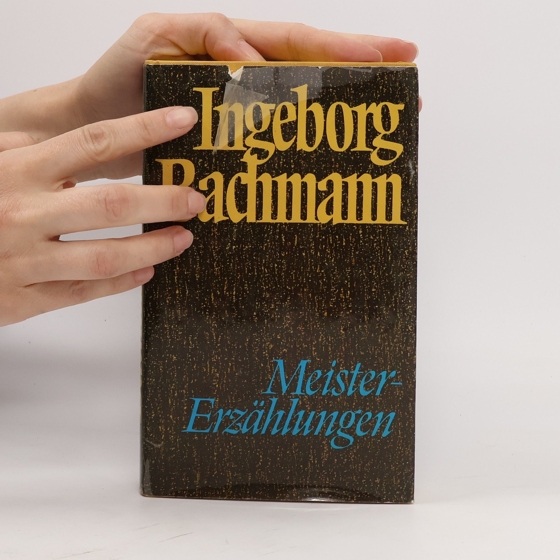 Ingeborg Bachmann Meister-Erzählungen