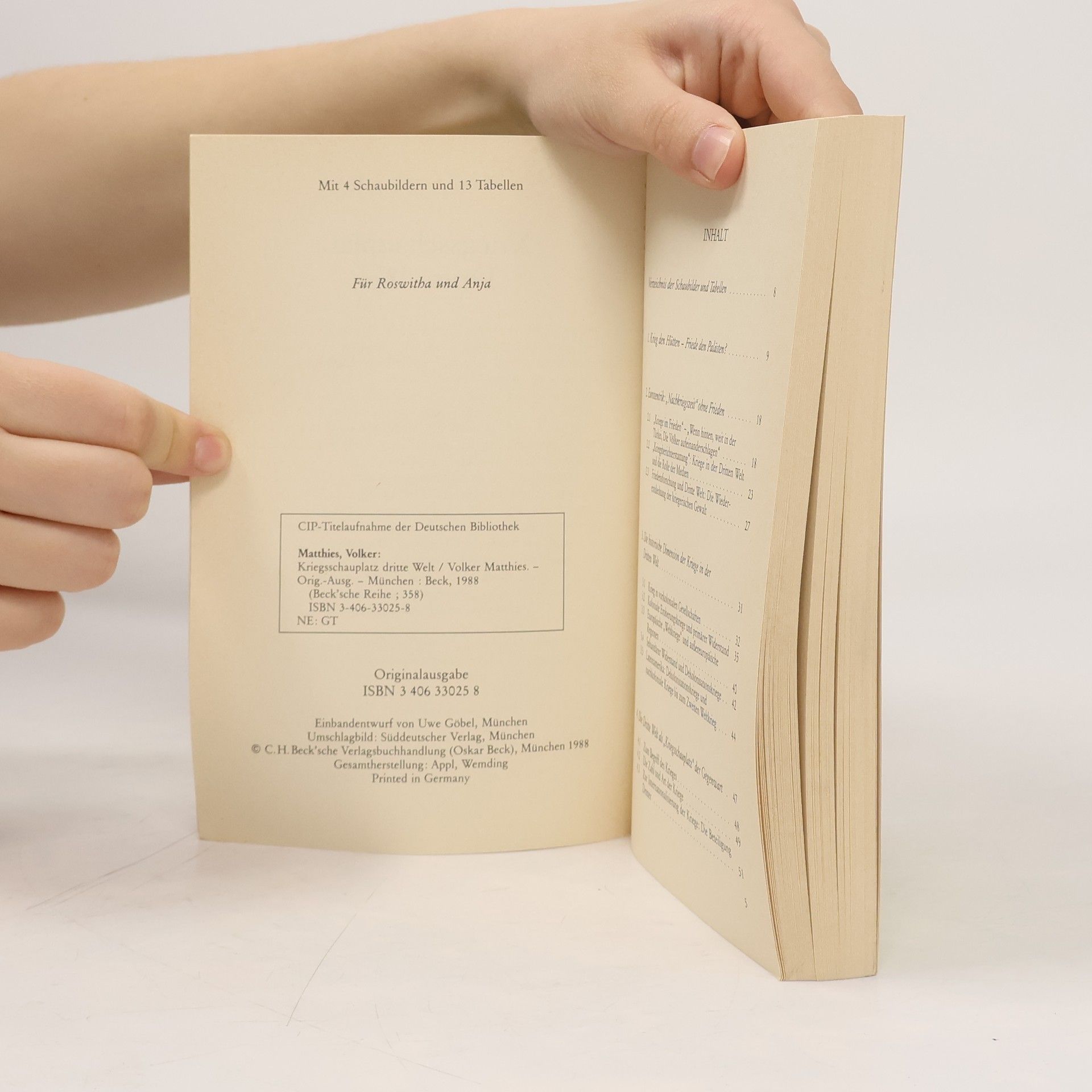 Volker Matthies Beck'sche Reihe - 358: Kriegsschauplatz Dritte Welt