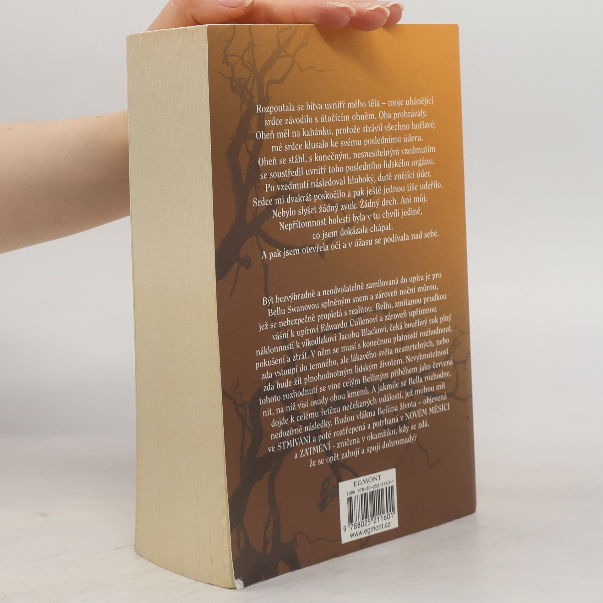 Stephenie Meyer Rozbřesk