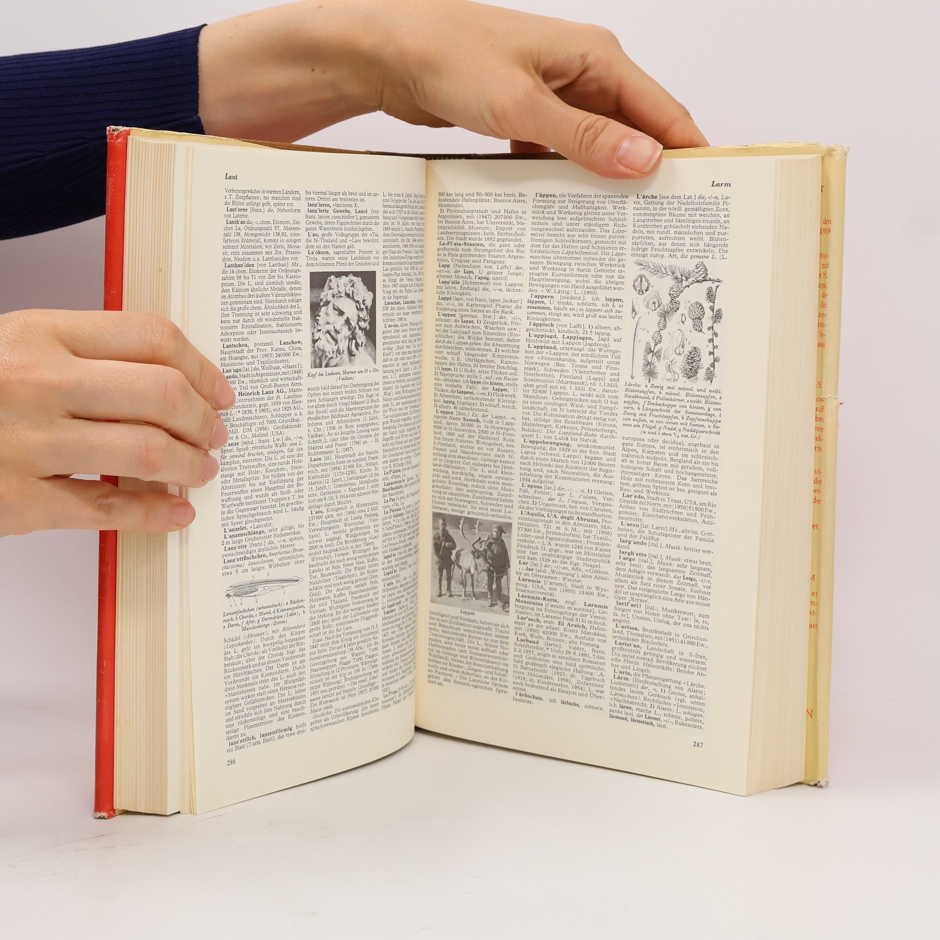 Autorenkollektiv Der Neue Brockhaus 3