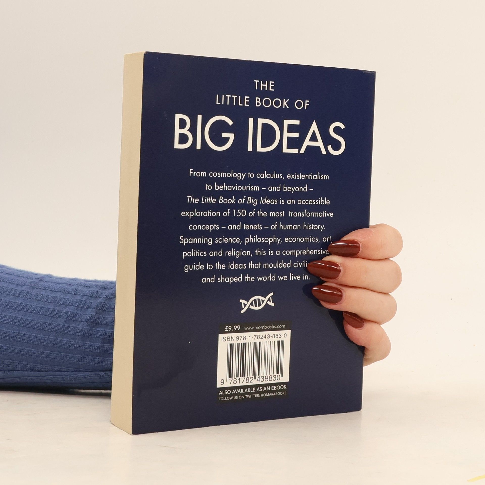 Dan Smith The little book of big ideas