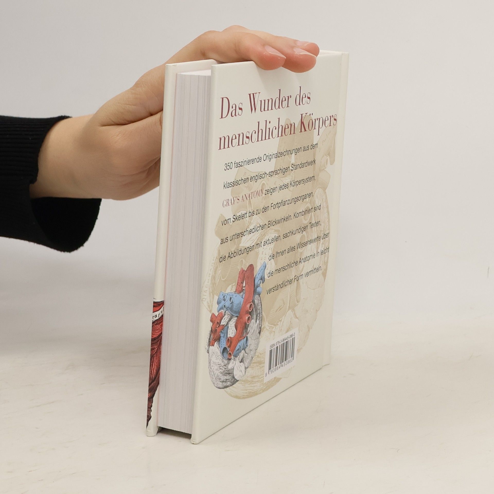 Christopher Joseph Anatomie. Ilustriert mit den Original-Zeichnungen aus Gray's Anatomy
