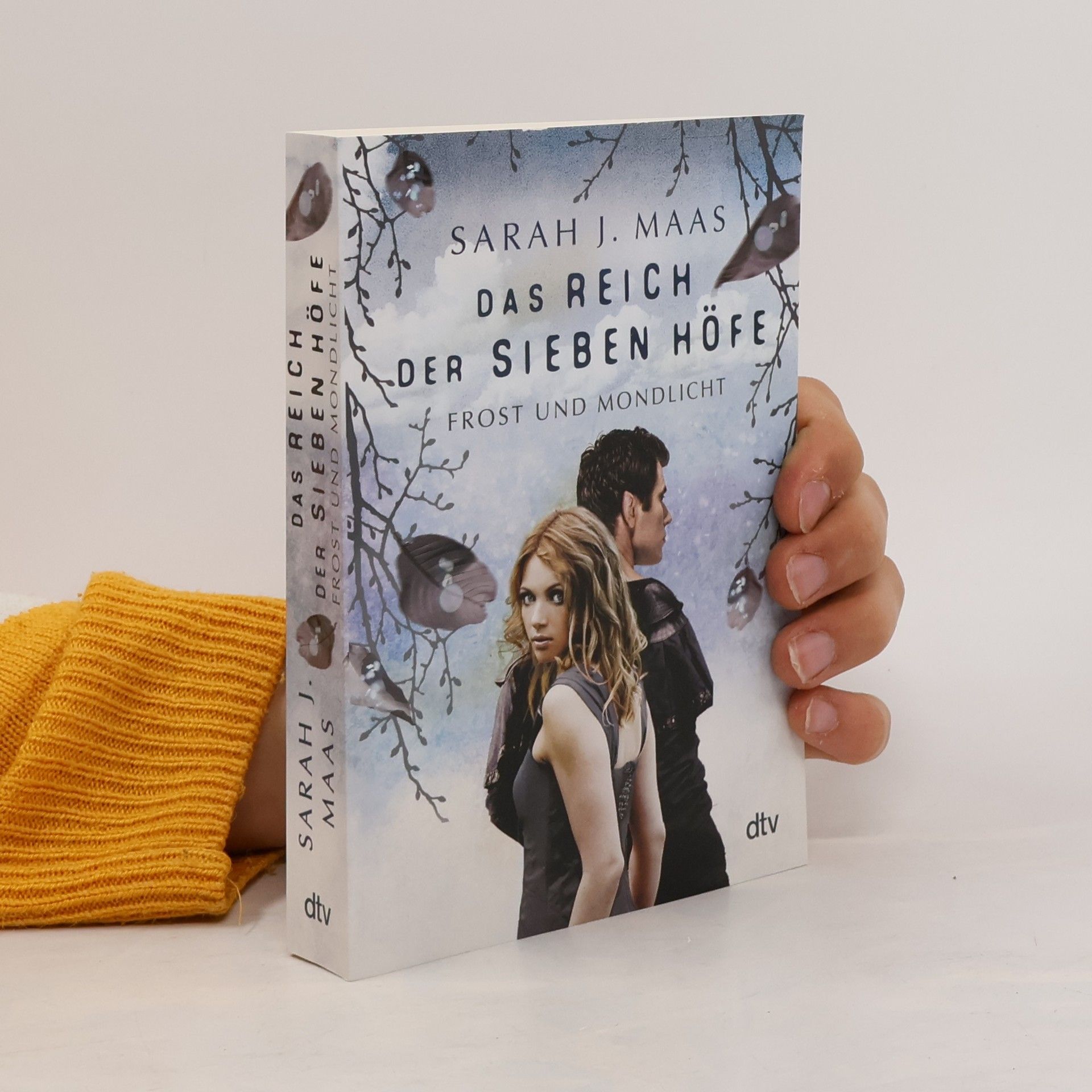 Sarah J. Maas Das Reich der Sieben Höfe: Frost und Mondlicht
