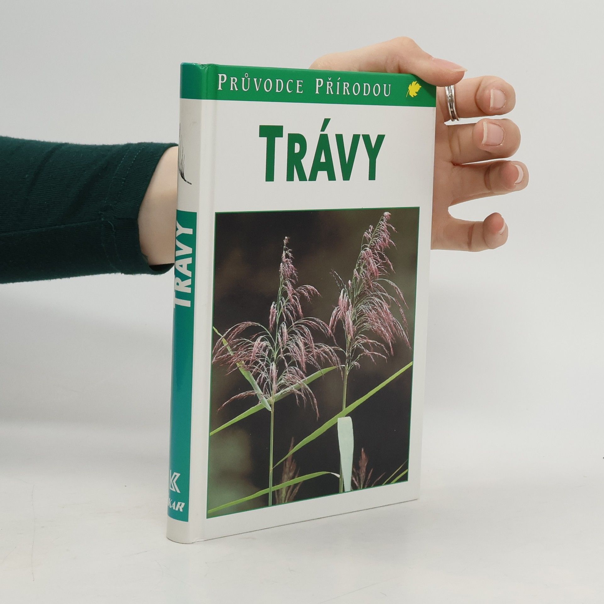 Jürke Grau Trávy : lipnicovité, šáchorovité, sítinovité a rostliny podobné travám Evropy