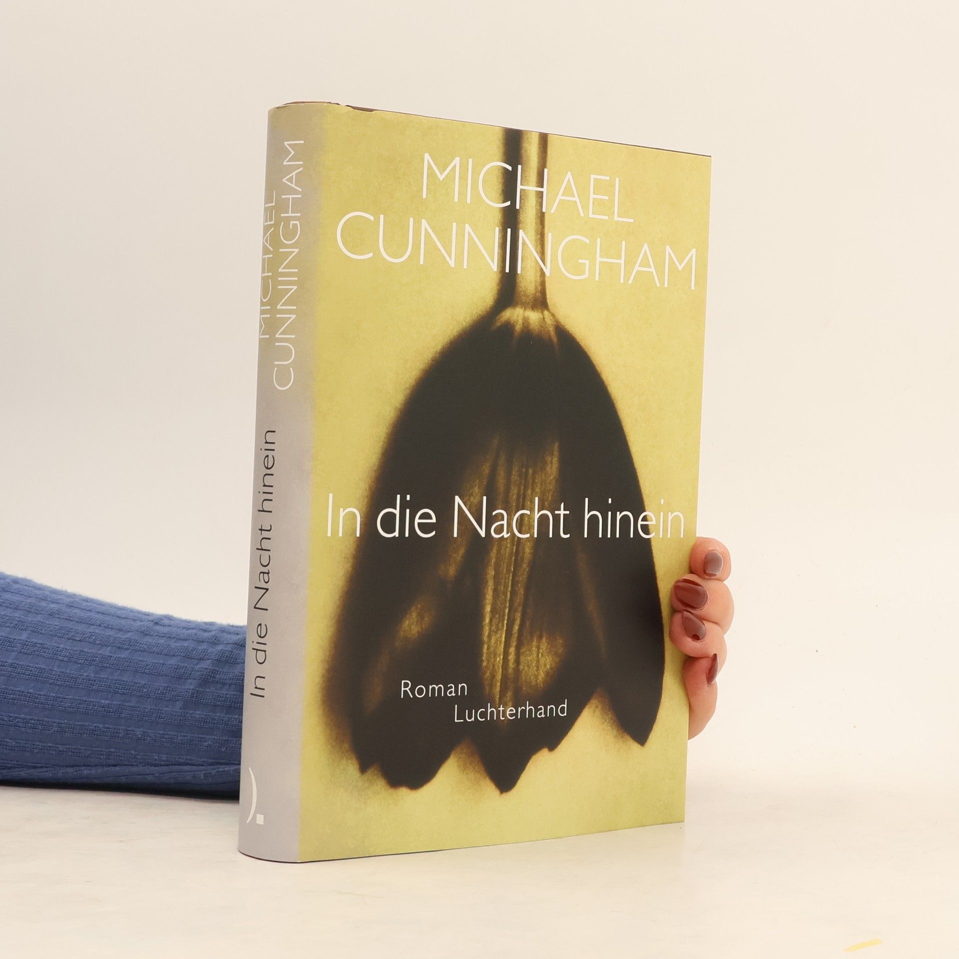 Michael Cunningham In die Nacht hinein