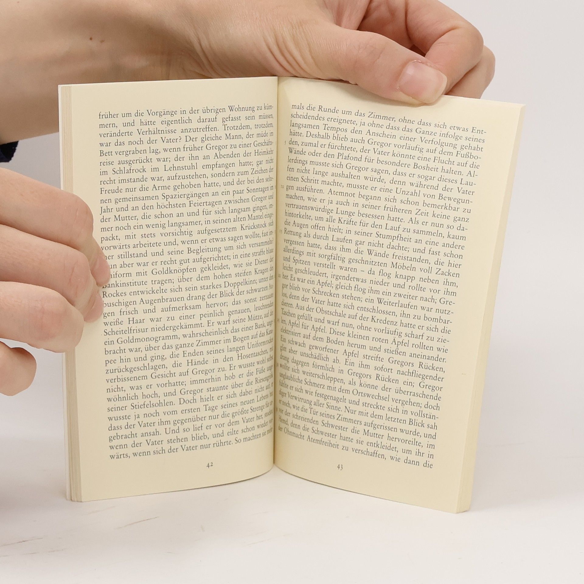 Franz Kafka Die Verwandlung