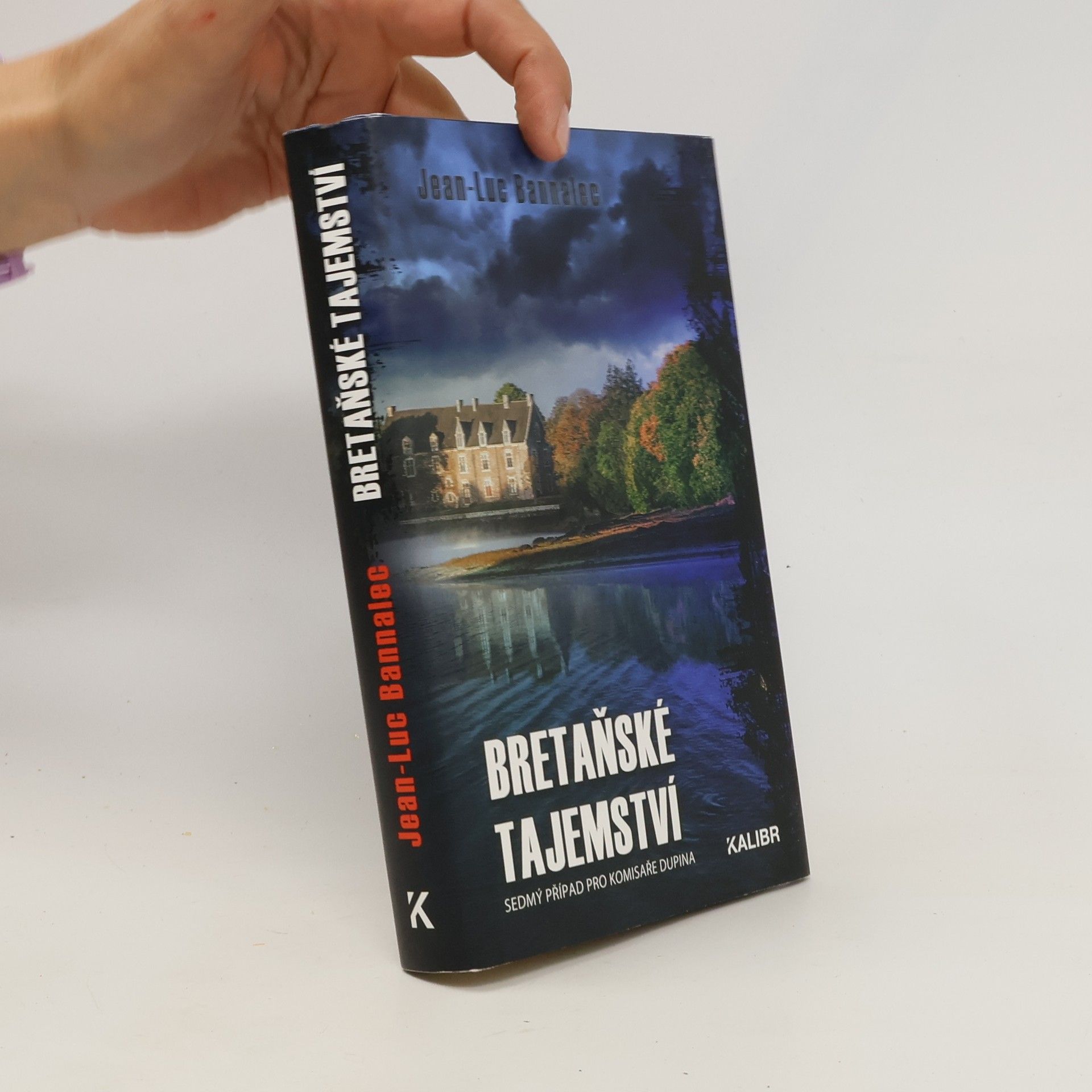 Jörg Bong Bretaňské tajemství