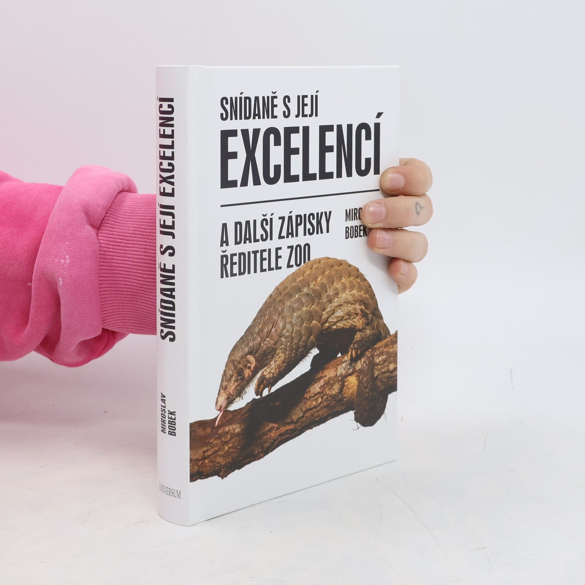 Miroslav Bobek Snídaně s její excelencí