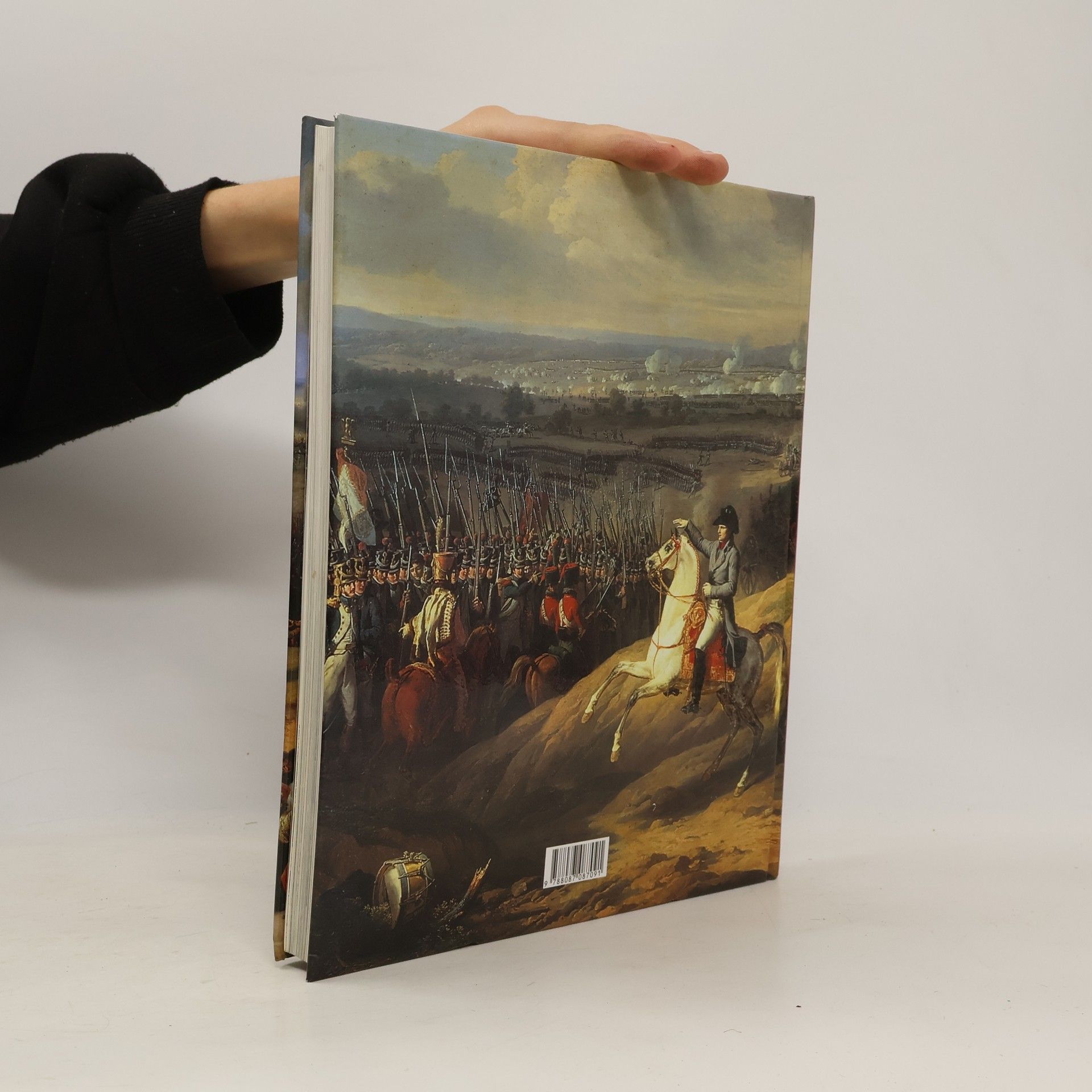 Stéphane Audoin-Rouzeau Velké bitvy historie