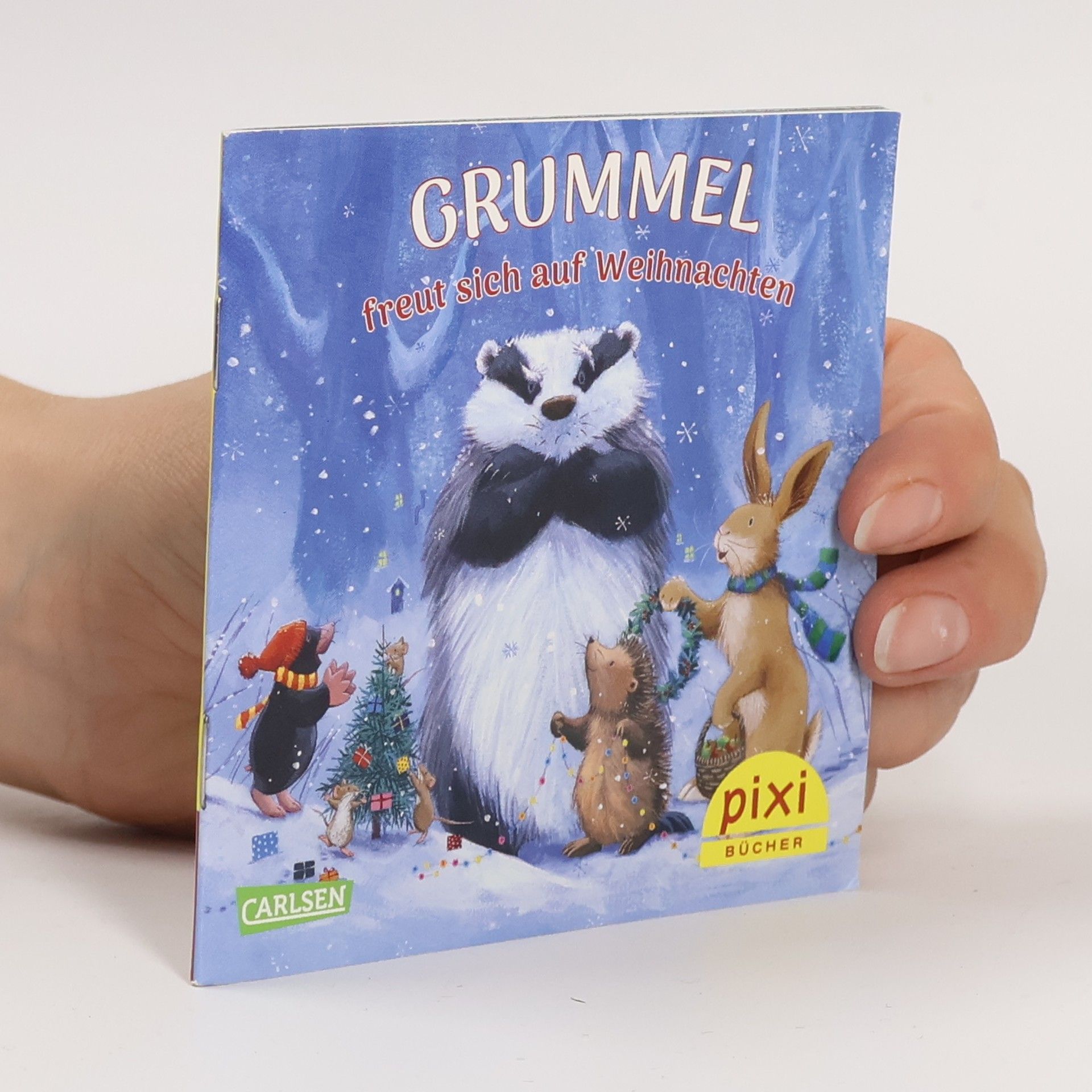 Carla Hansen Pixi Bücher. Petzi baut einen Schlitten
