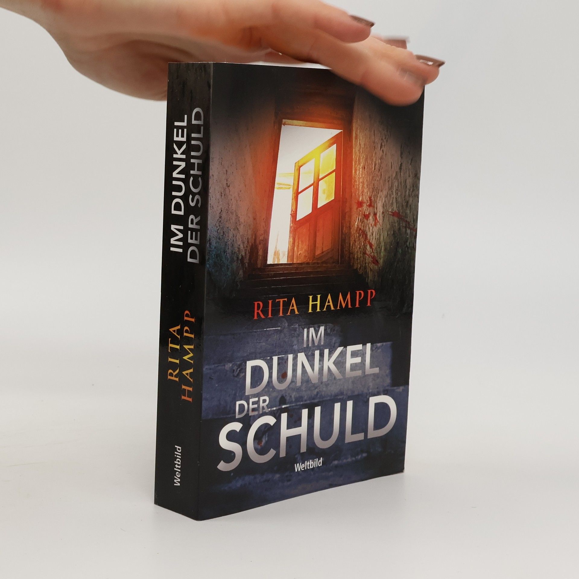 Rita Hampp Im Dunkel der Schuld