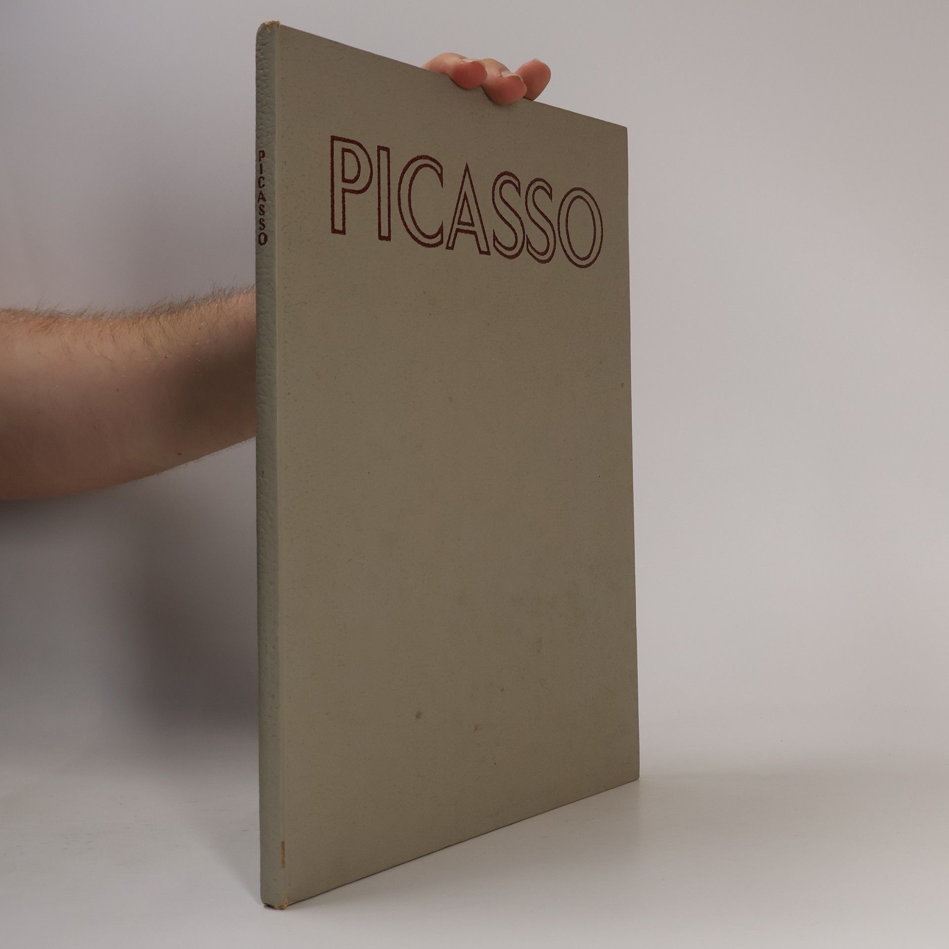 Kolektiv autorů Picasso