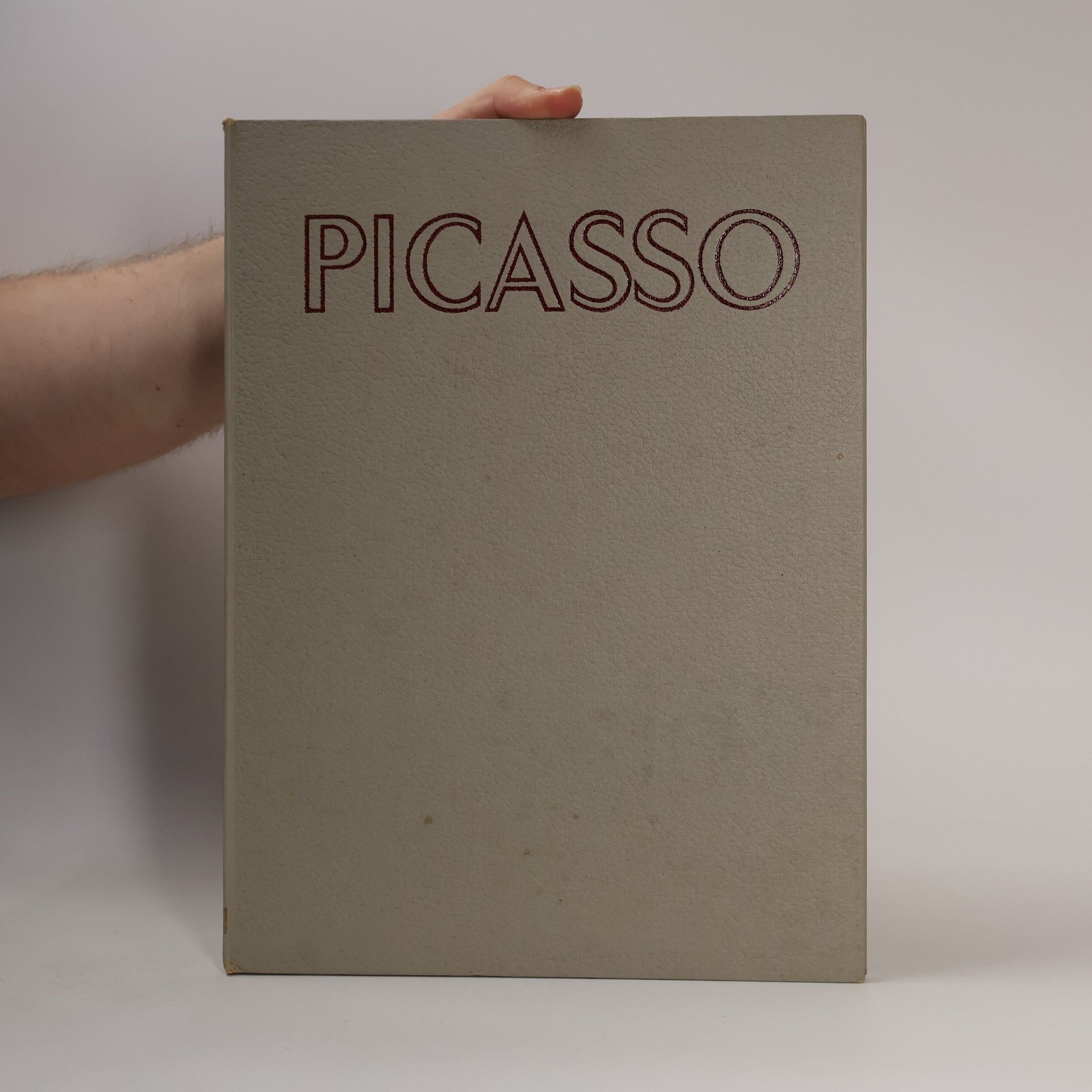 Kolektiv autorů Picasso