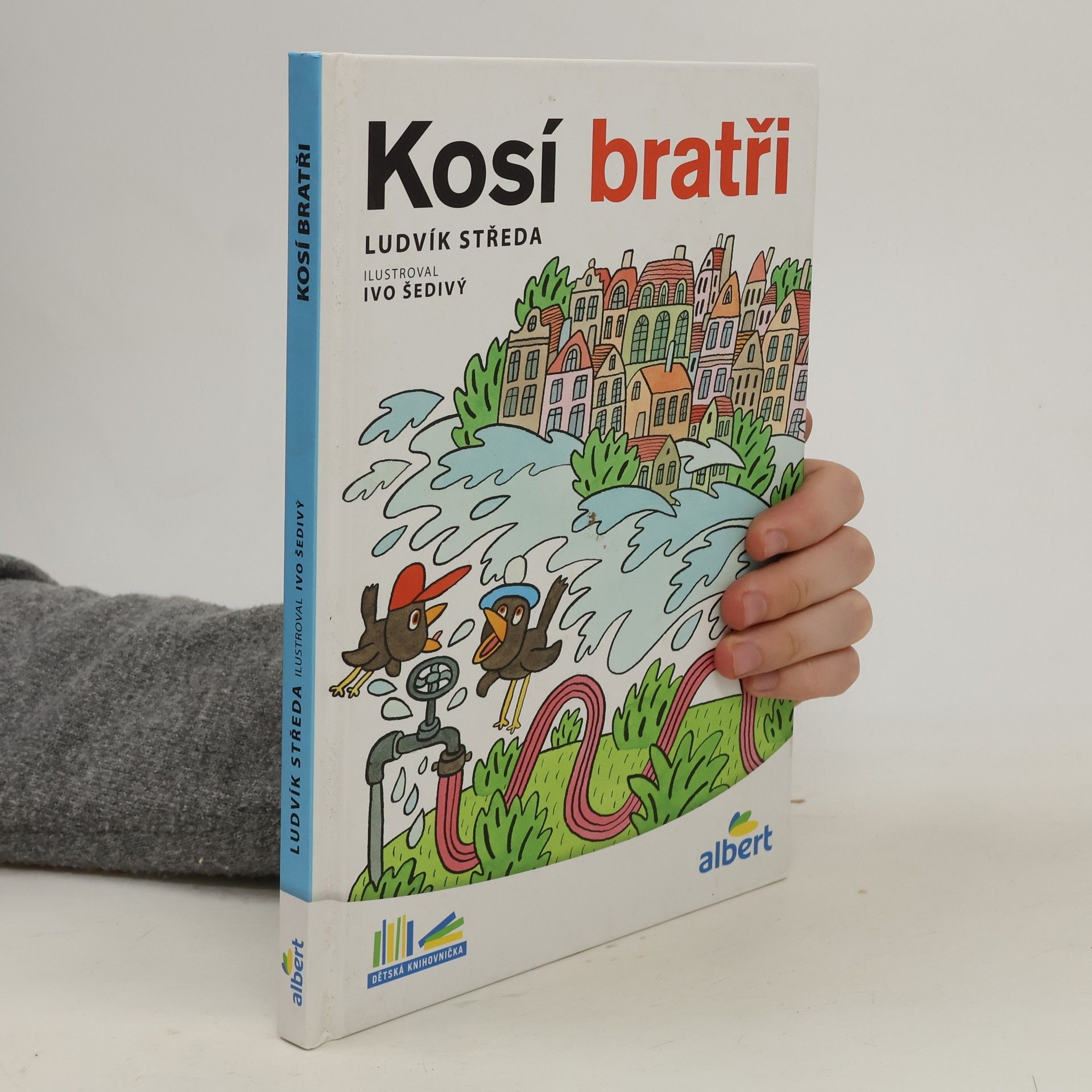 Ludvík Středa Kosí bratři