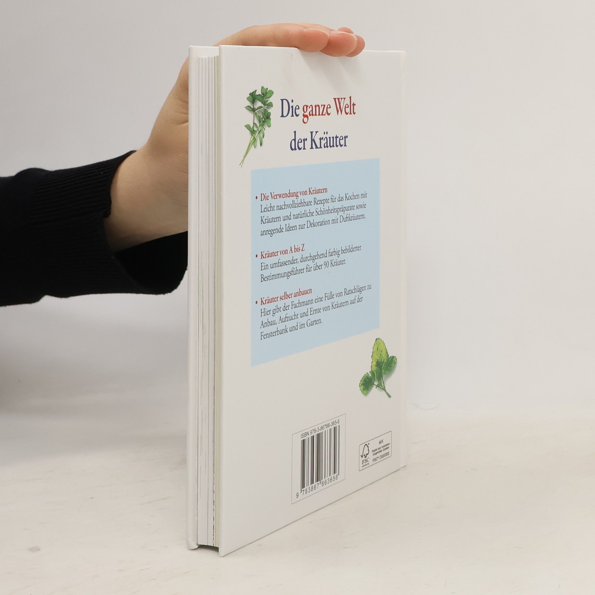 Autorenkollektiv Die ganze Welt der Kräuter: Der grosse Ratgeber für Haus und Garten
