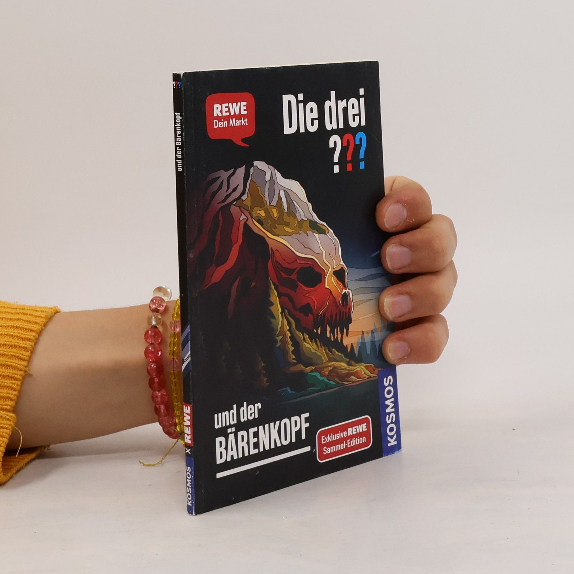 Andreas Ruch Die drei ??? und der Bärenkopf