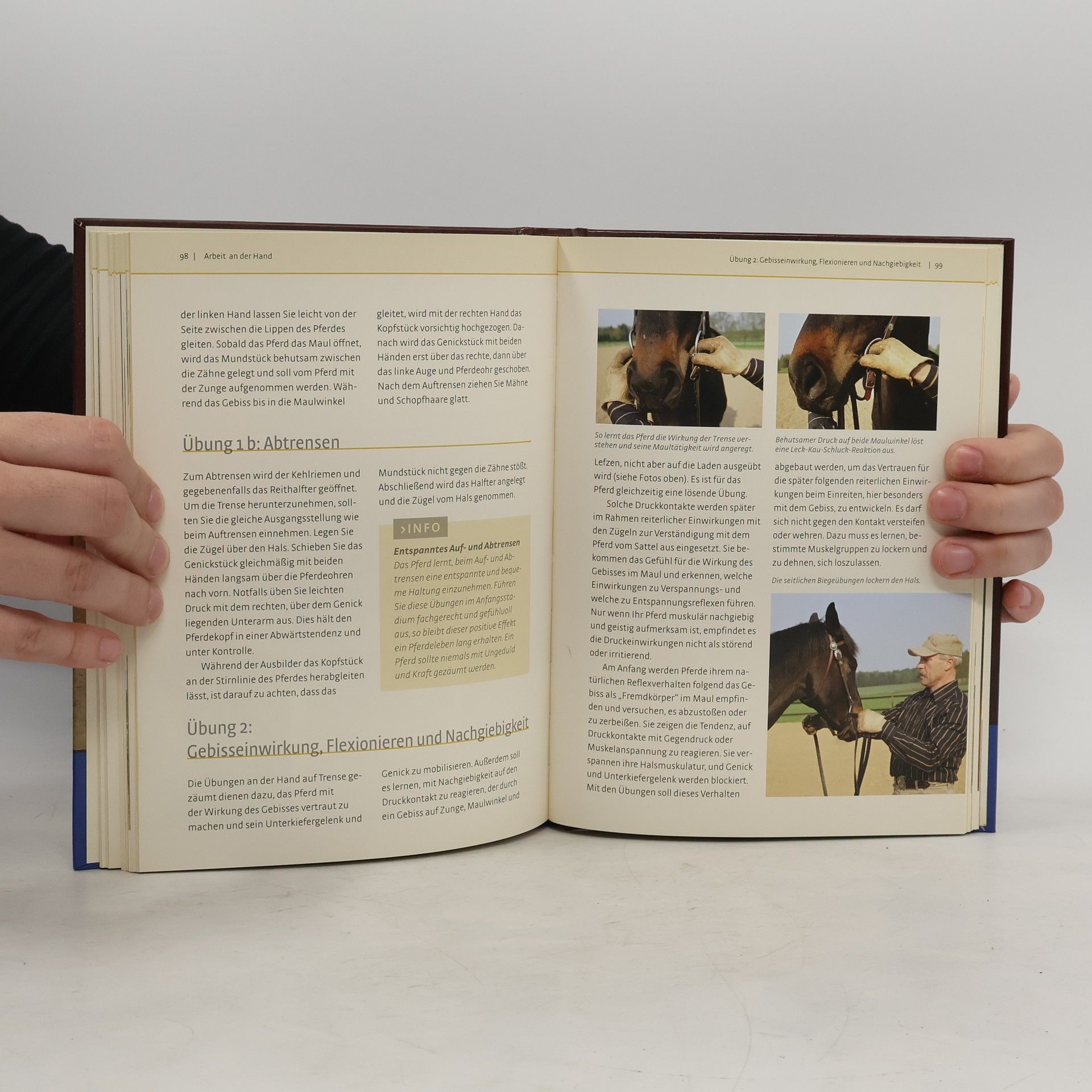 Peter Kreinberg The Gentle Touch: Peter Kreinbergs Bodenschule