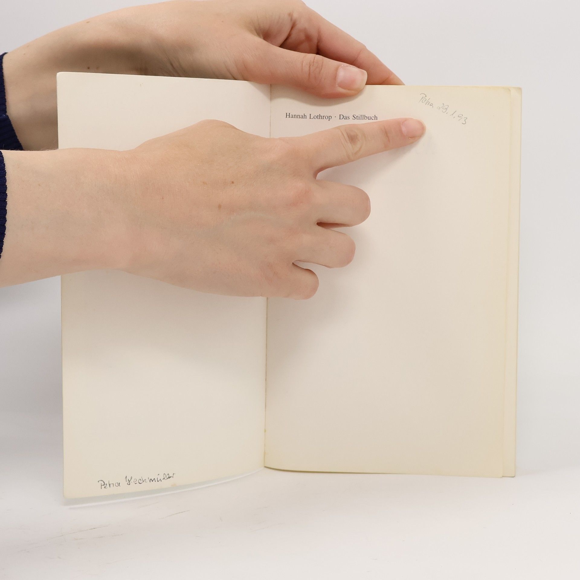 Hanny Lothrop Das Stillbuch